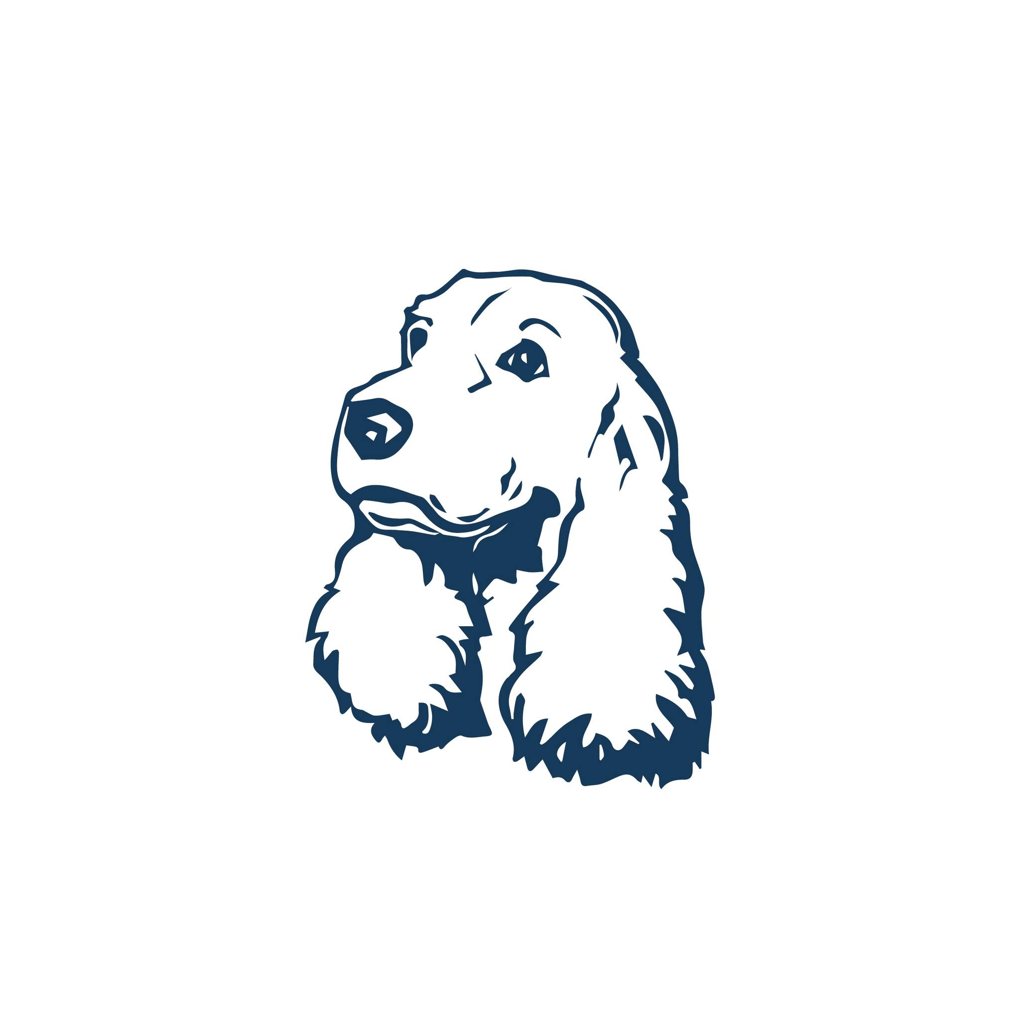 🎉 Our big move is coming up... - The Spaniel's Tale Bookstore | Facebook