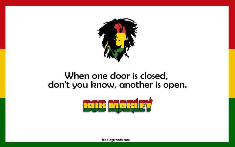 Rasta life never end