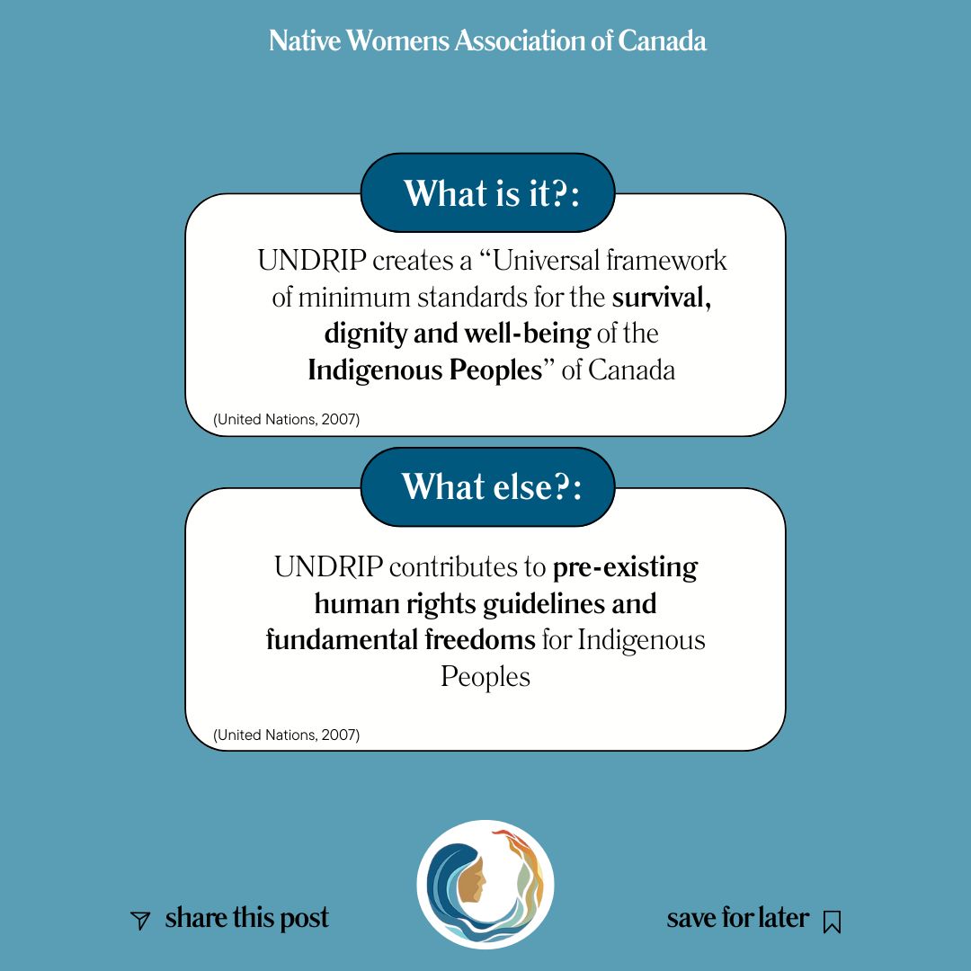 Native Women's... - Native Women's Association of Canada