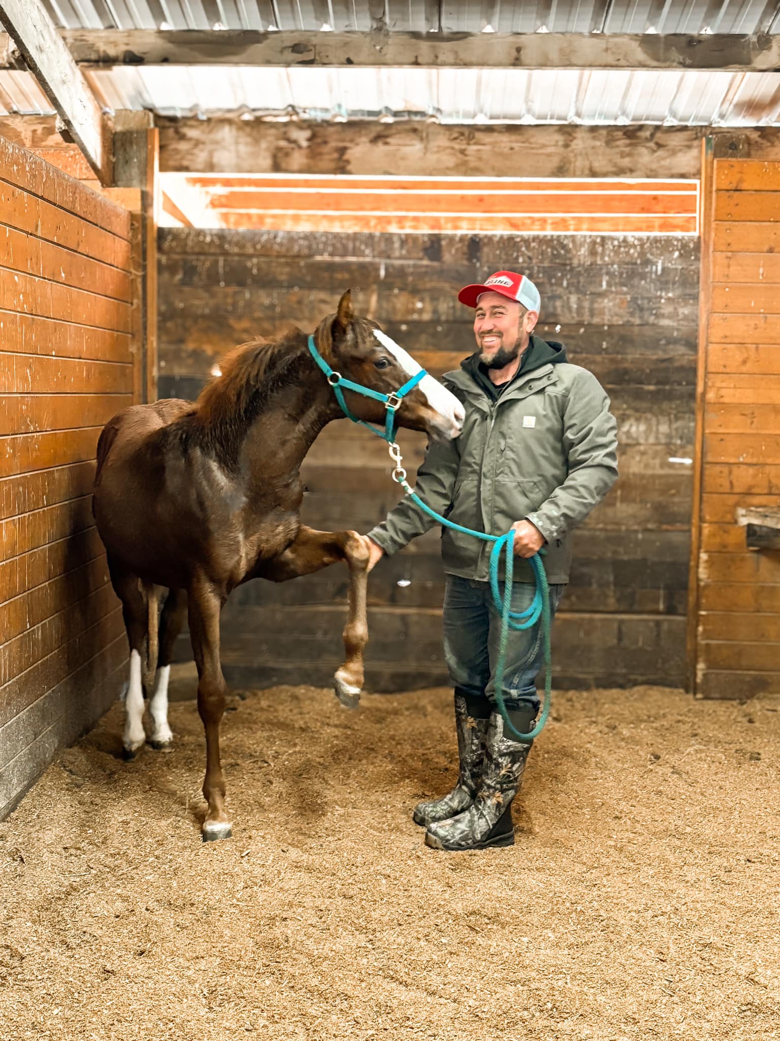 Foley - This filly is almost ready for her first farrier appointment ...