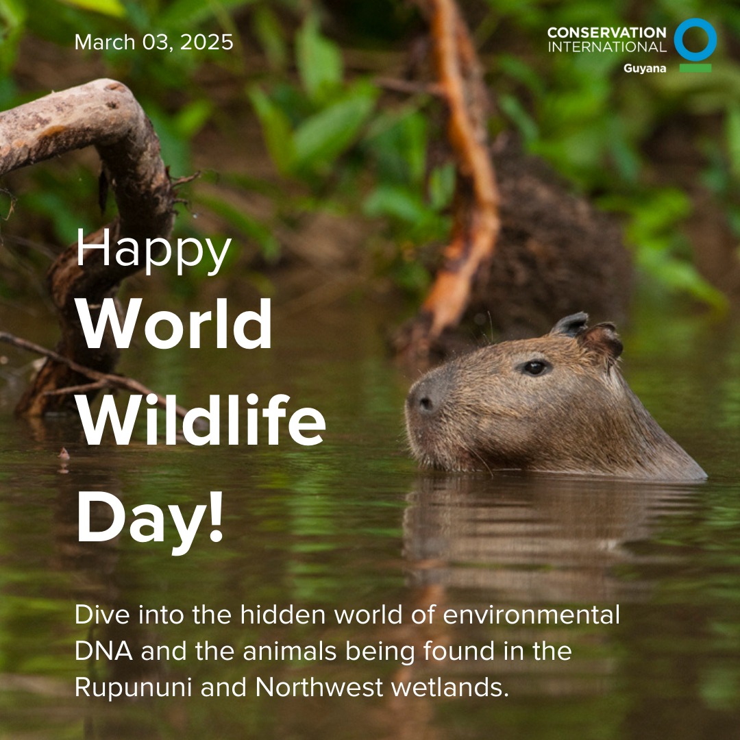 Conservation International Guyana | Georgetown