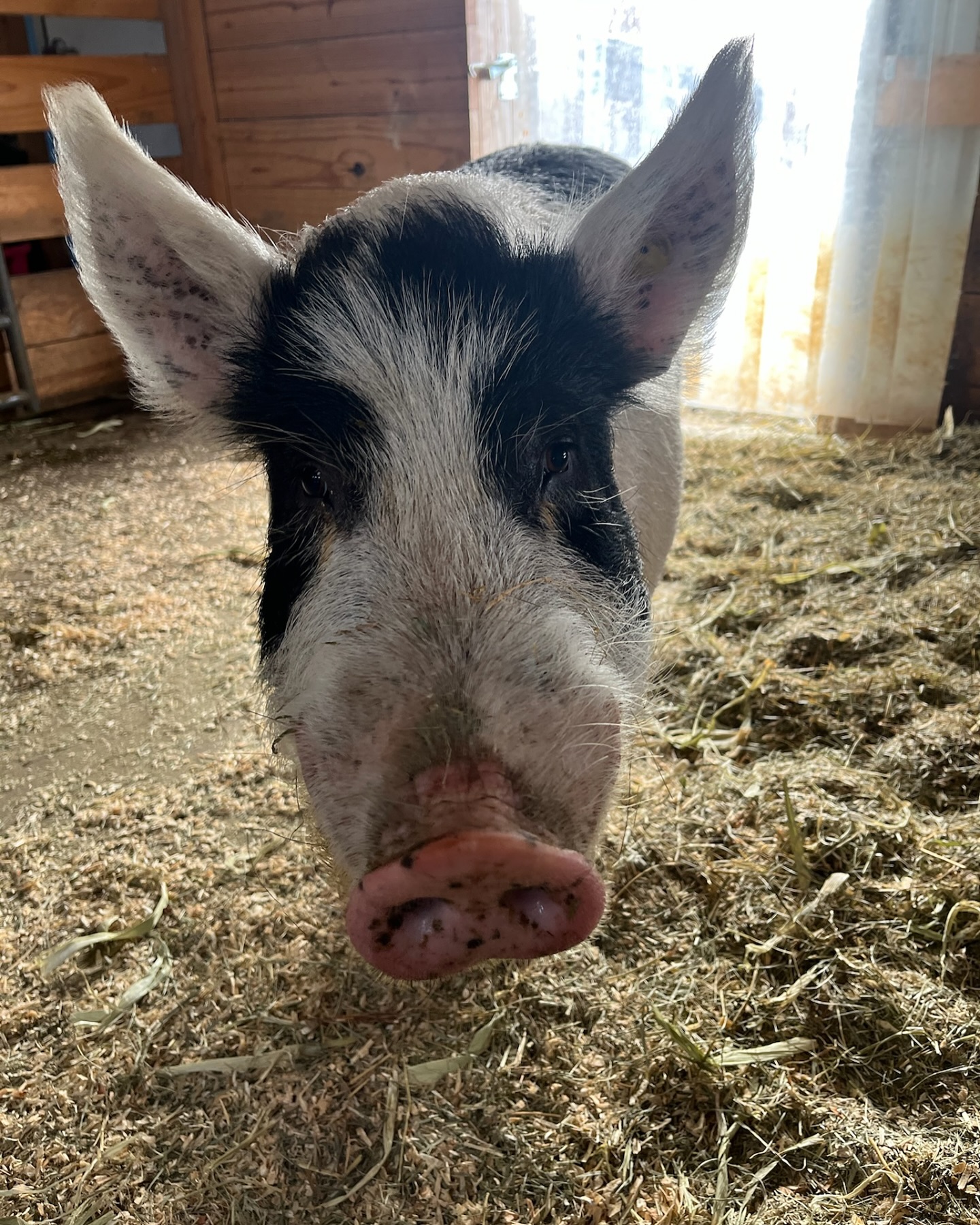 Another Chance Ranch | Neosho WI