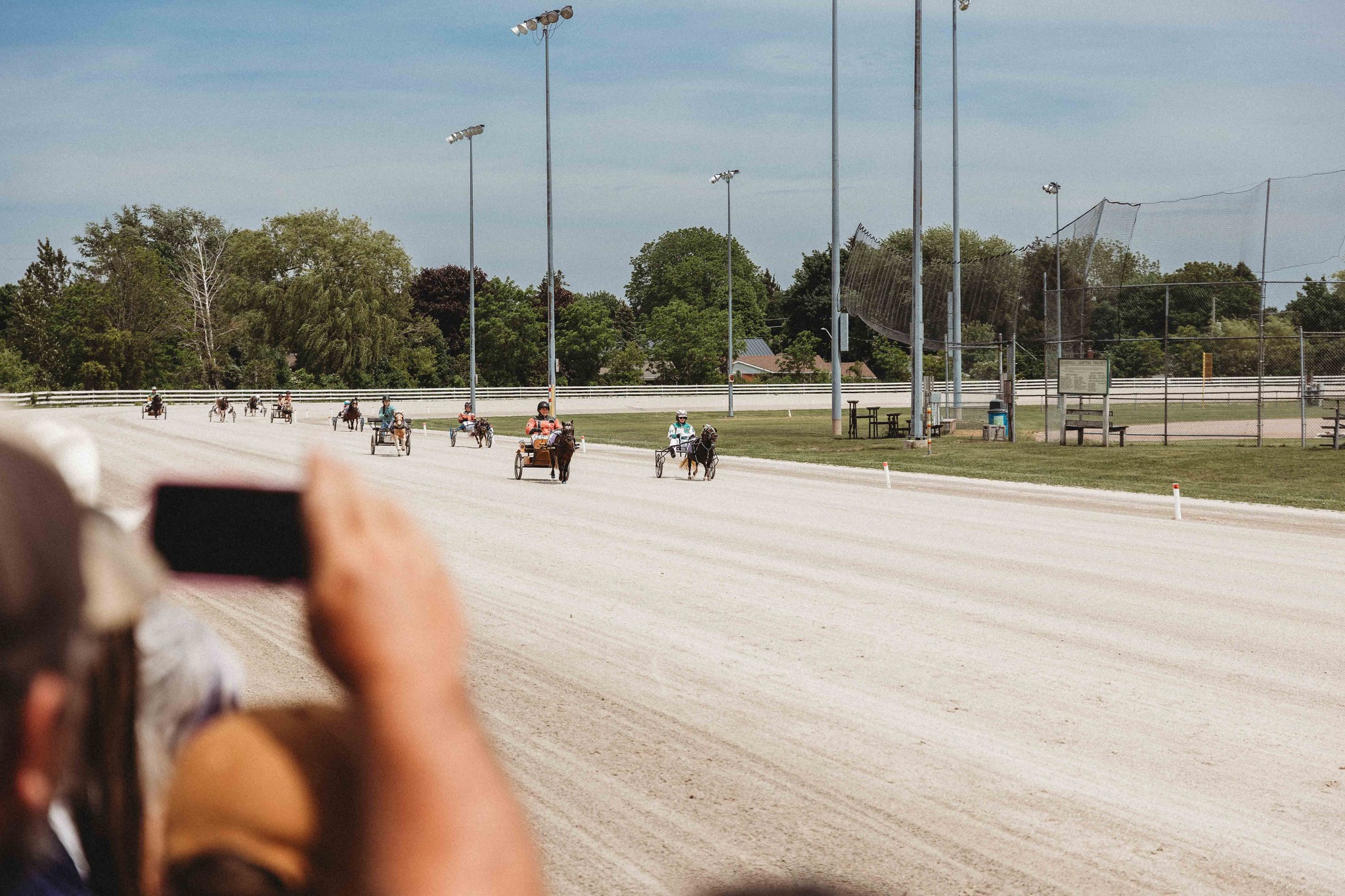 Hanover Raceway - The miniature horse race had us in...