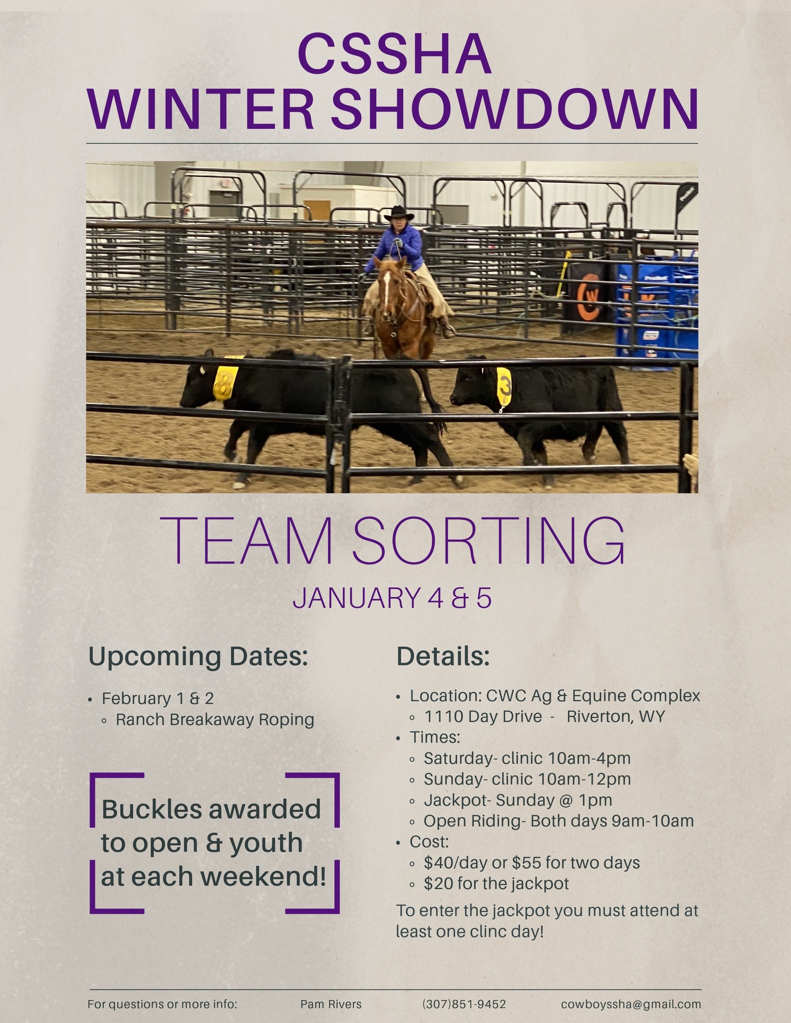 Cowboy State Stock Horse Association | Riverton WY