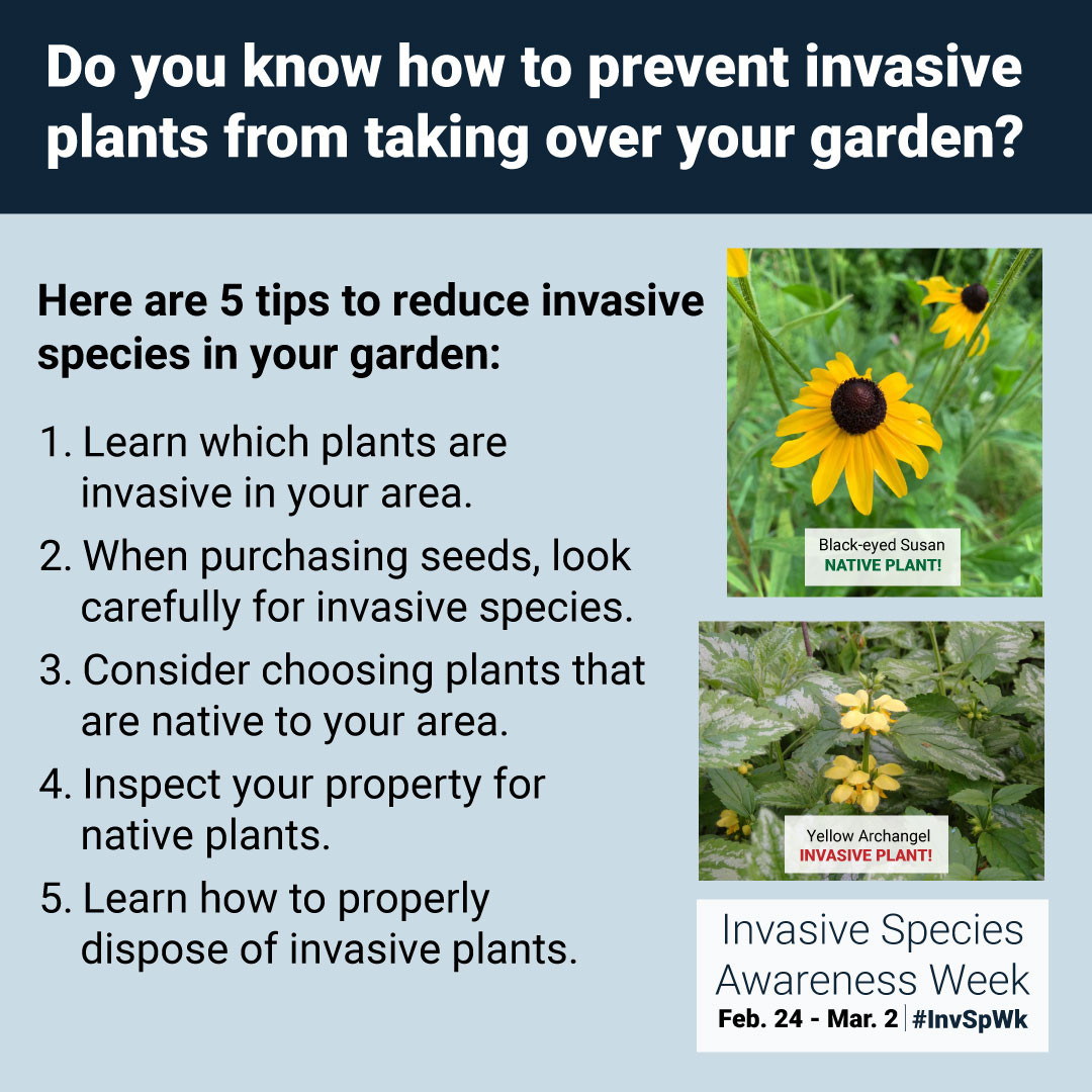 How to Choose Plants for Your Garden: Expert Tips