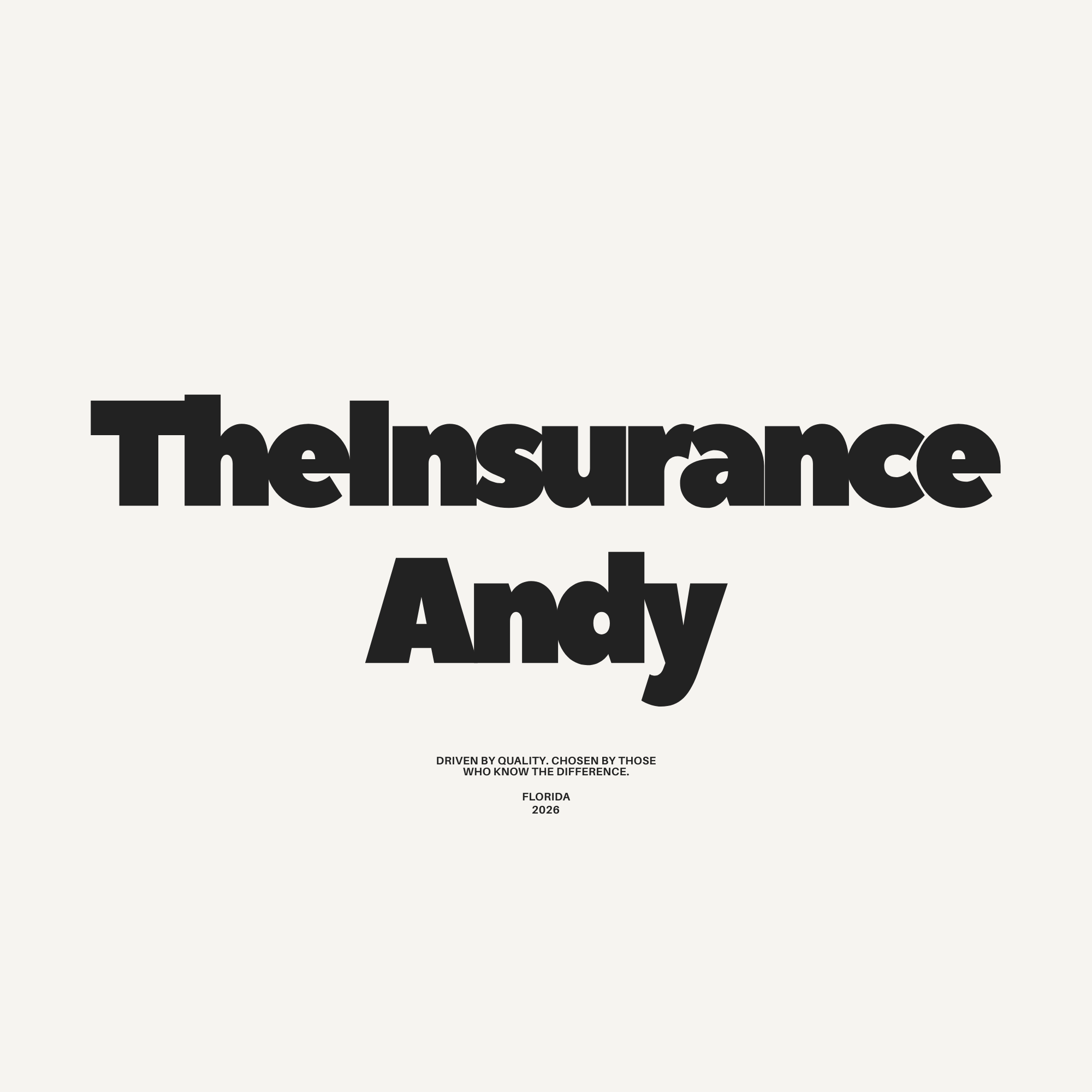 The Insurance Andy
