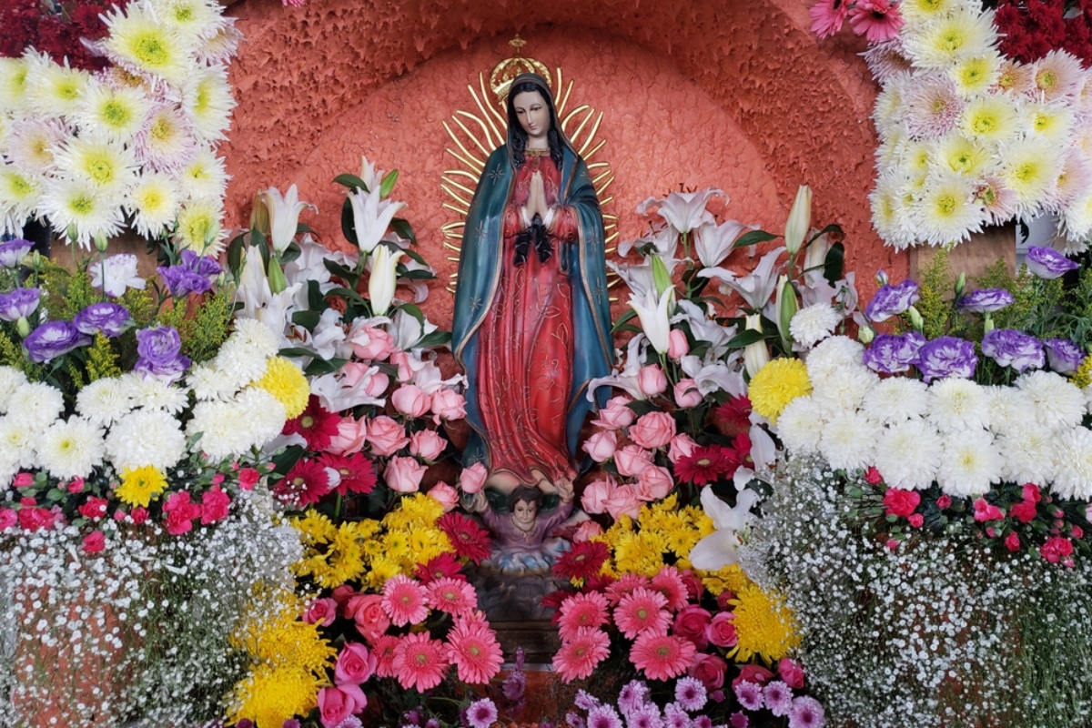 MundoNow - Escribe AMÉN y comparte: Virgen María de Guadalupe, te ...