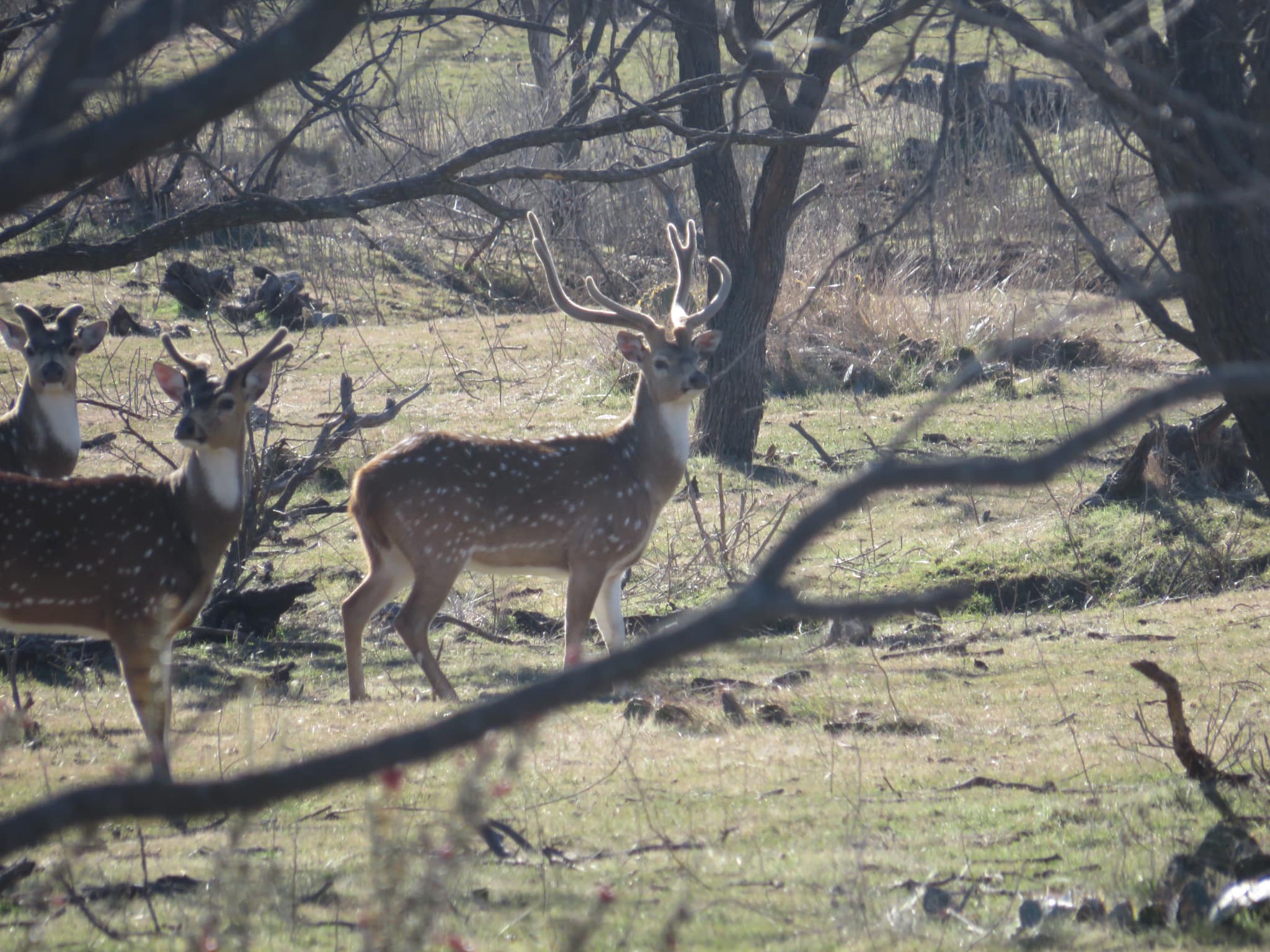 S4 Hunting Ranch