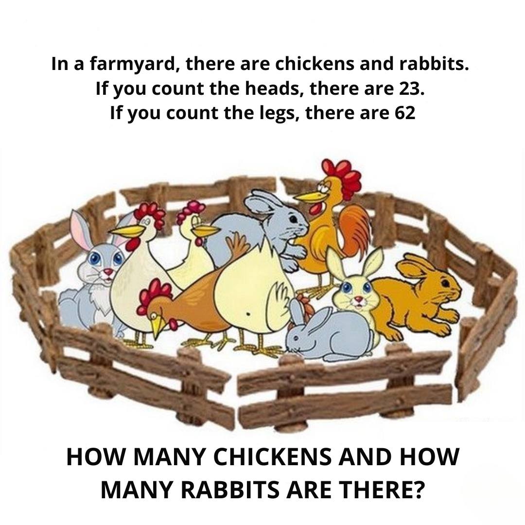 Dreame - MIND CHALLENGE 🧠 Can you guess how many chickens and how many ...