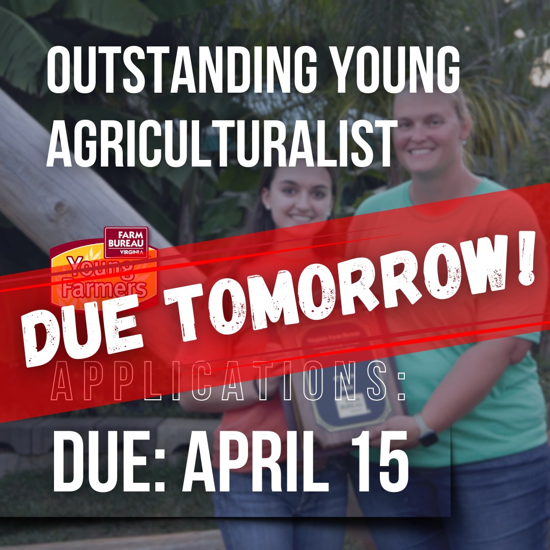 VFBF - Tomorrow is the last day to apply for our Outstanding Young ...