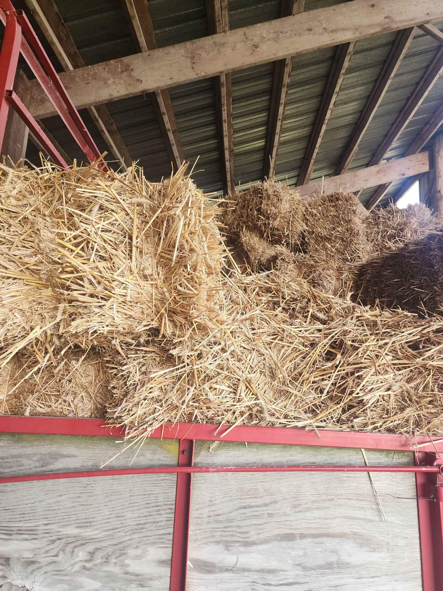 Straw bales - Drinkware - Chaseburg, Wisconsin | Facebook Marketplace ...