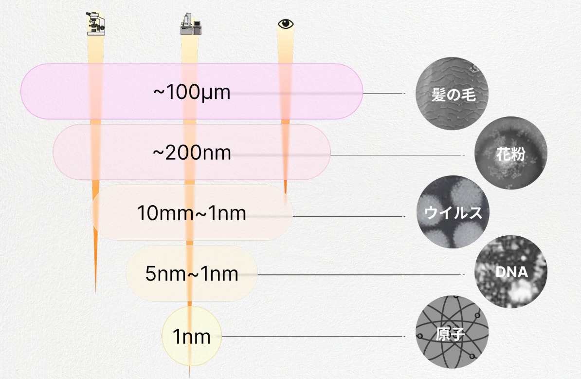 日立ハイテク - 🔬「ミクロの世界ってどんなもの？」🔬 私たちの肉眼では見えない微小な物体や生物が存在するミクロの世界。実は、私たちの生活や ...