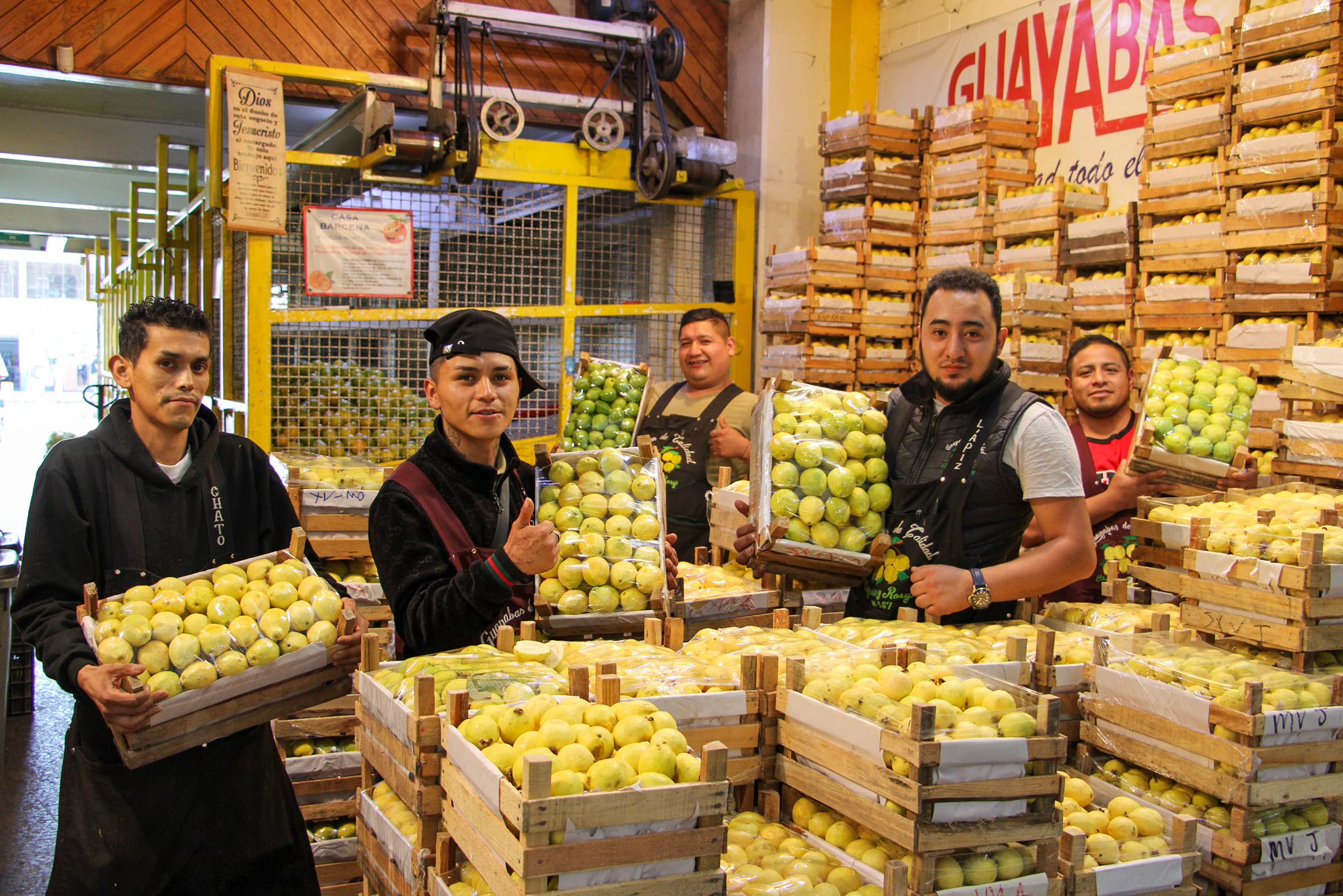 🍈 La #guayaba de temporada ya... - Central de Abasto CDMX | Facebook