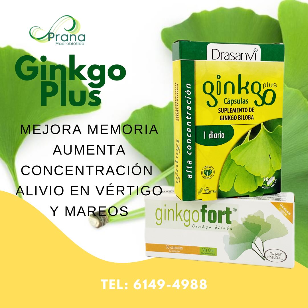 Prana - El ginkgo, o Ginkgo biloba, es un árbol antiguo conocido por ...