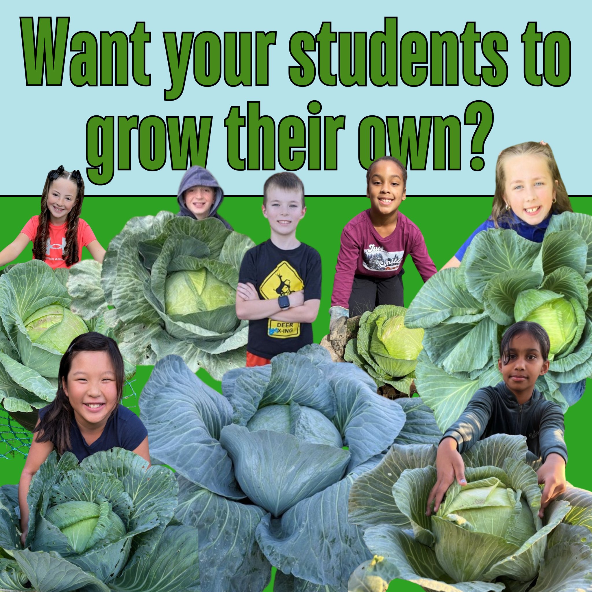 Bonnie - 🌱🥬 Grow, Learn, Compete! 🥬🌱 Look at these gardeners thriving ...