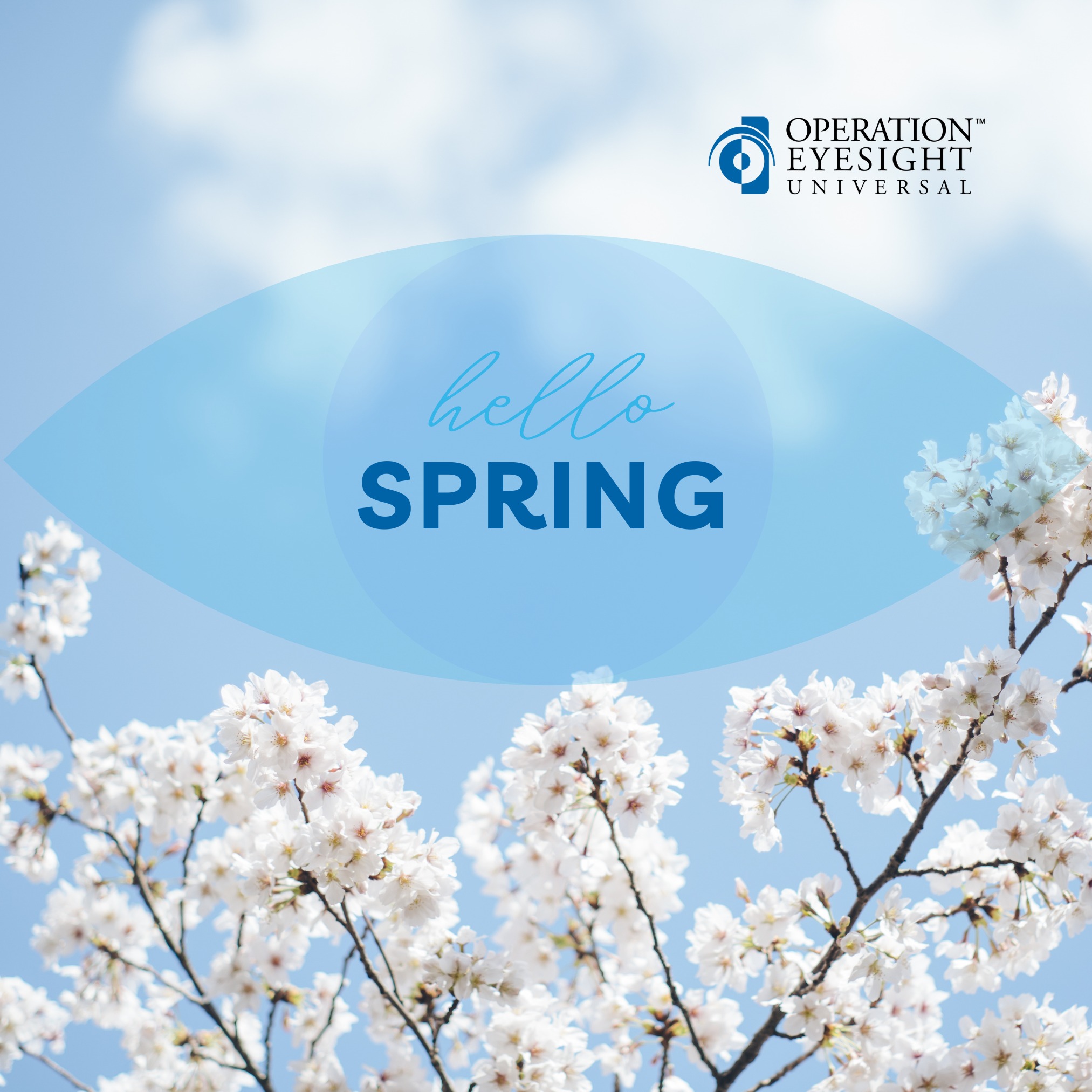 Operation - 🌸☀️ The first day of spring marks the beginning of longer ...