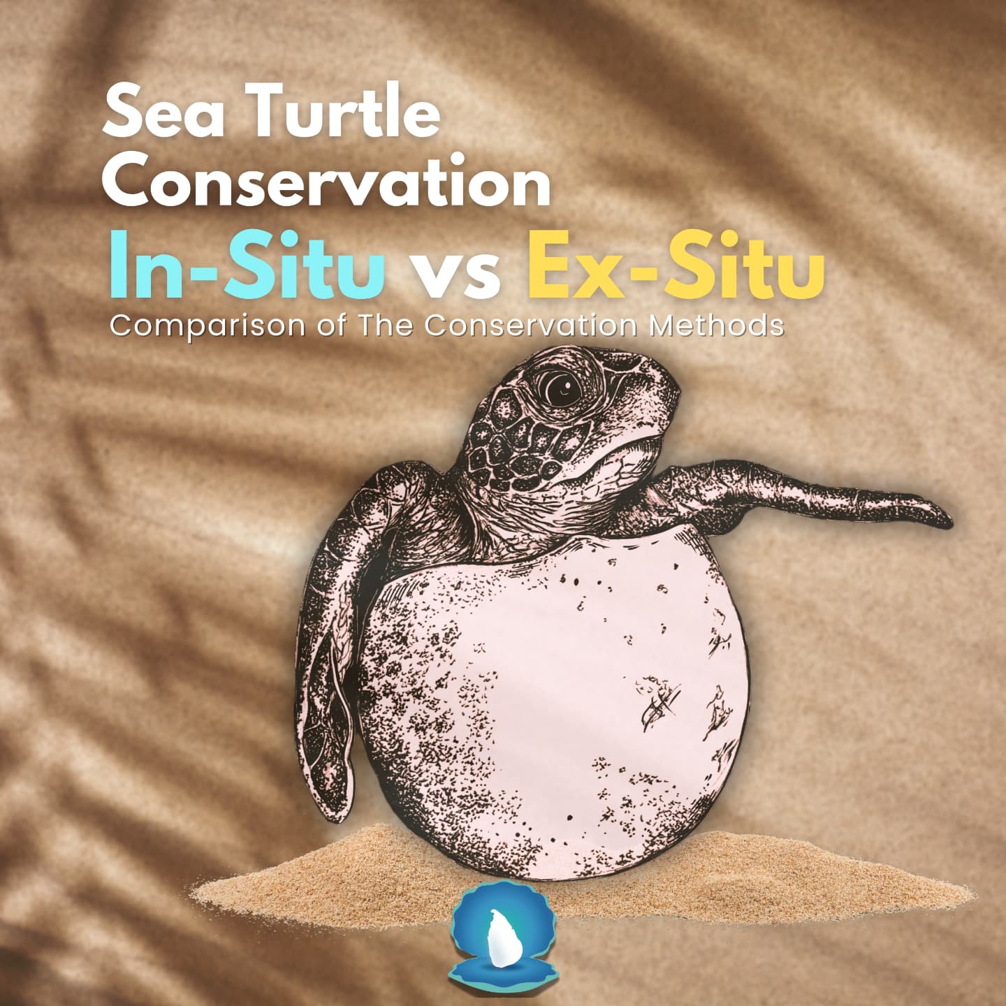 What is In-situ and Ex-situ in sea... - The Pearl Protectors | Facebook