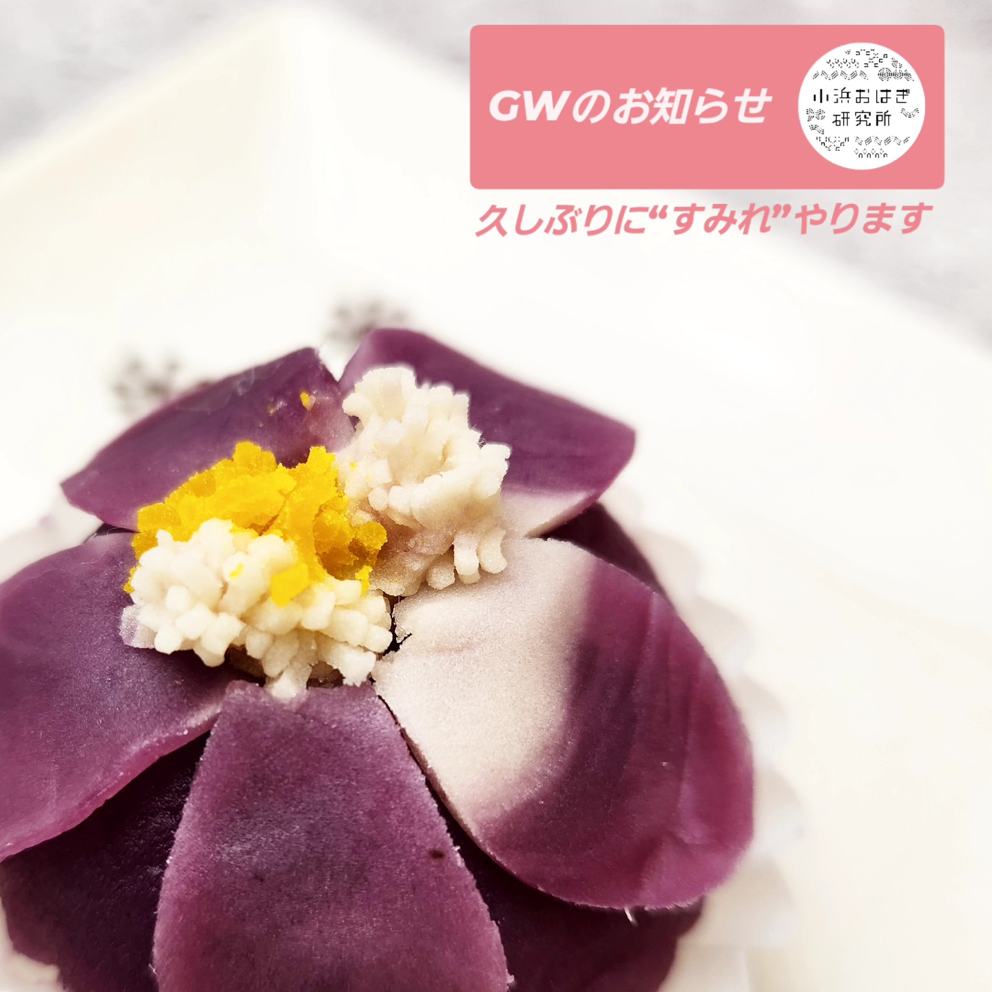 ohagi.lab | Takarazuka-shi Hyogo