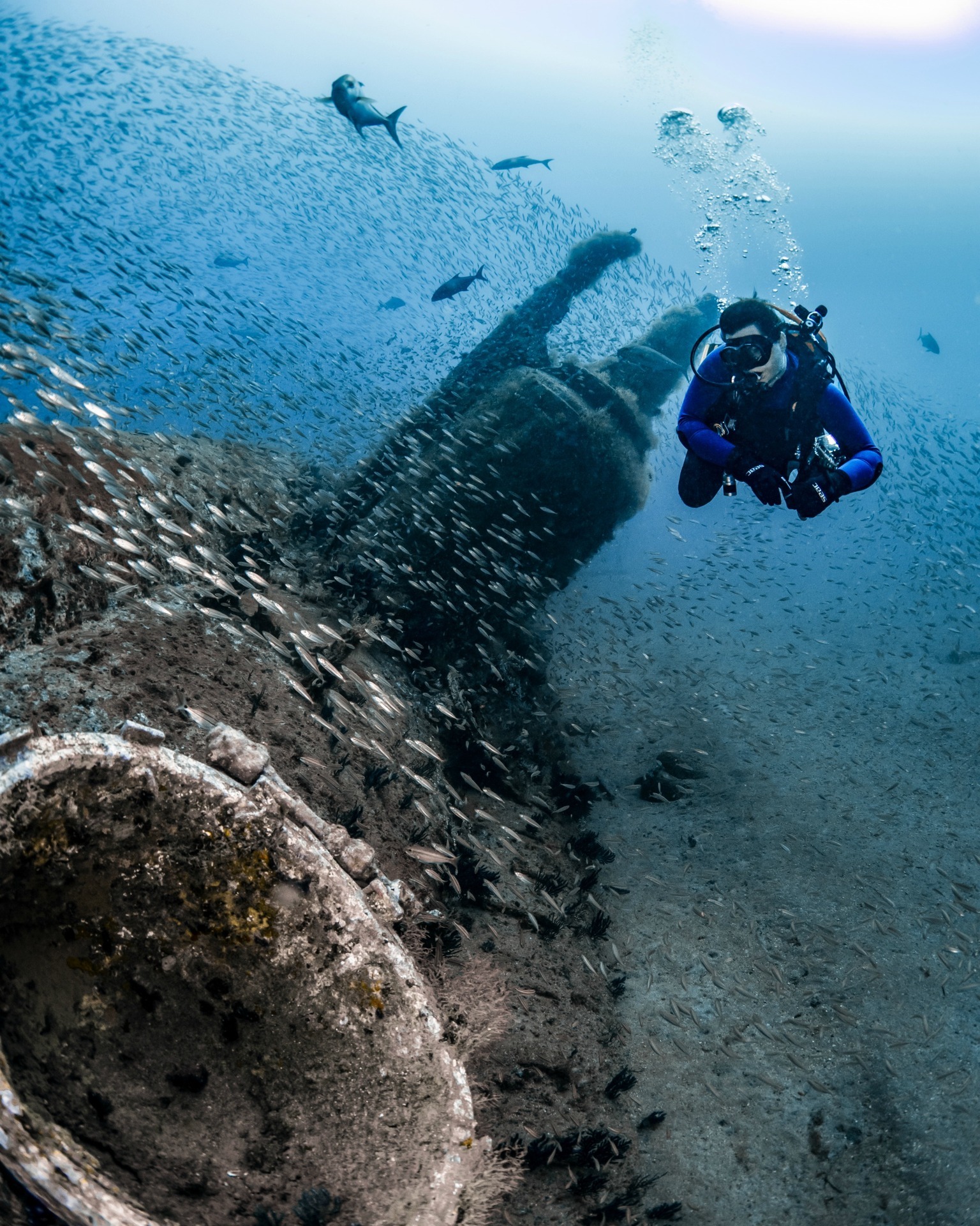 Olympus - Happy International Scuba Diving Day! 🎉 Why celebrate on land ...
