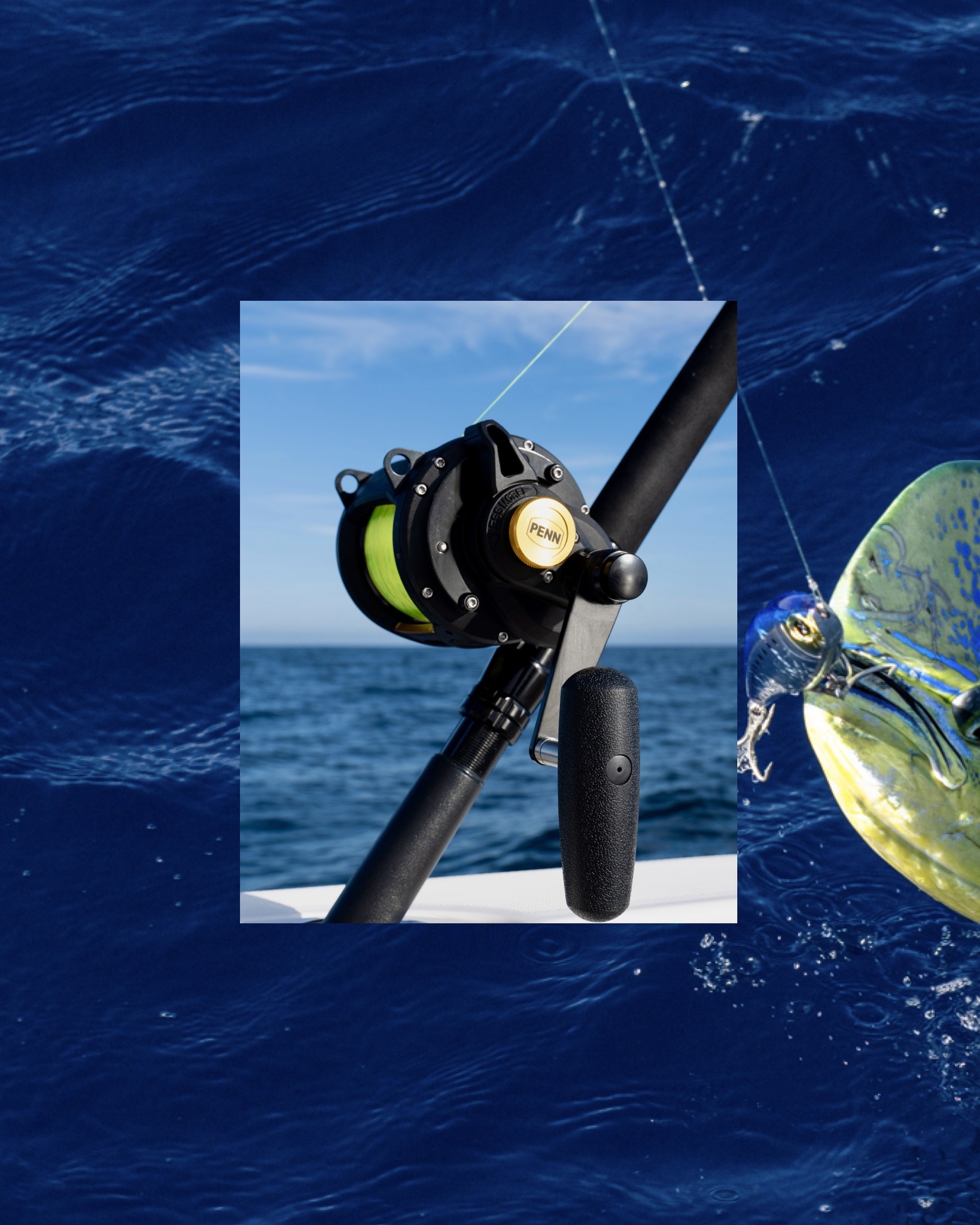Mahi Mahi Beautiful Fish Decal | Fishing Decal