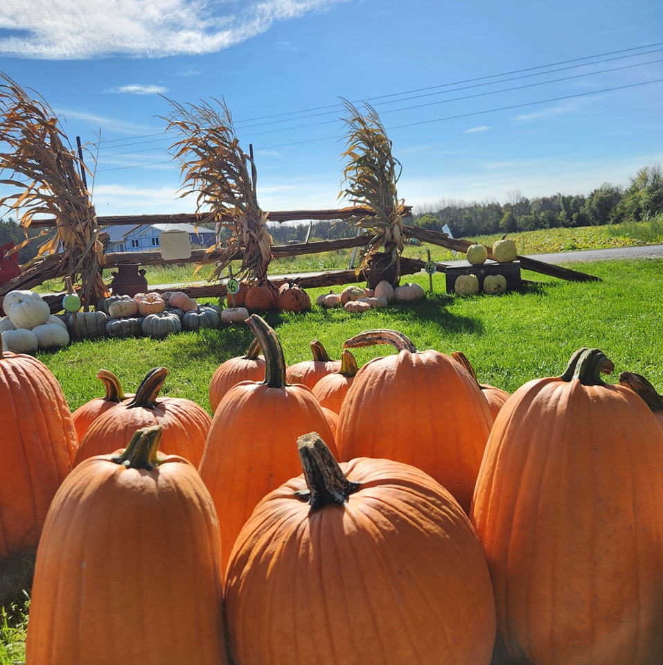 Seven Acres Family Farm | Ingleside ON