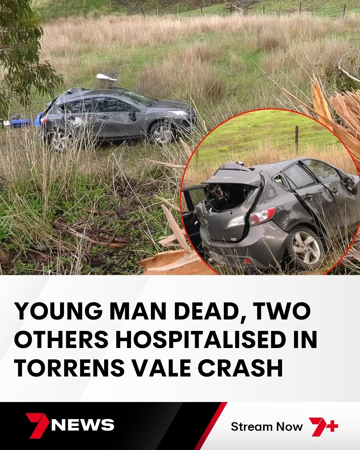 7NEWS - A 20-year-old passenger has died in a horror crash at Torrens ...
