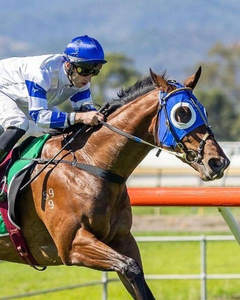 Racing - Good luck to Richard Jolly Racing's Klabel, who steps out at ...