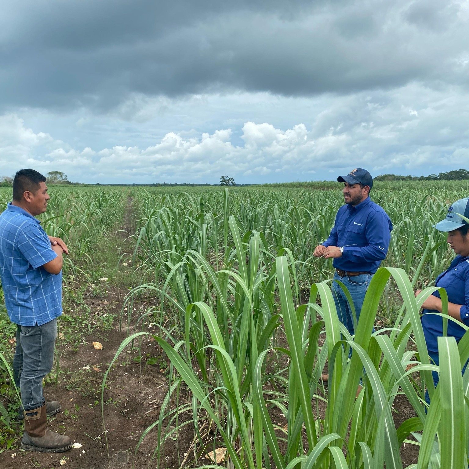 AgroScience - AgroScience added a new photo.
