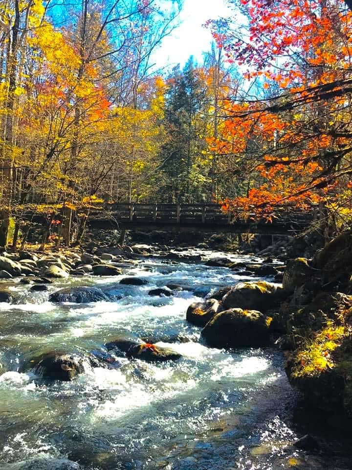 The Summit of Locust Ridge - Smokey Mountain Rental Cabins