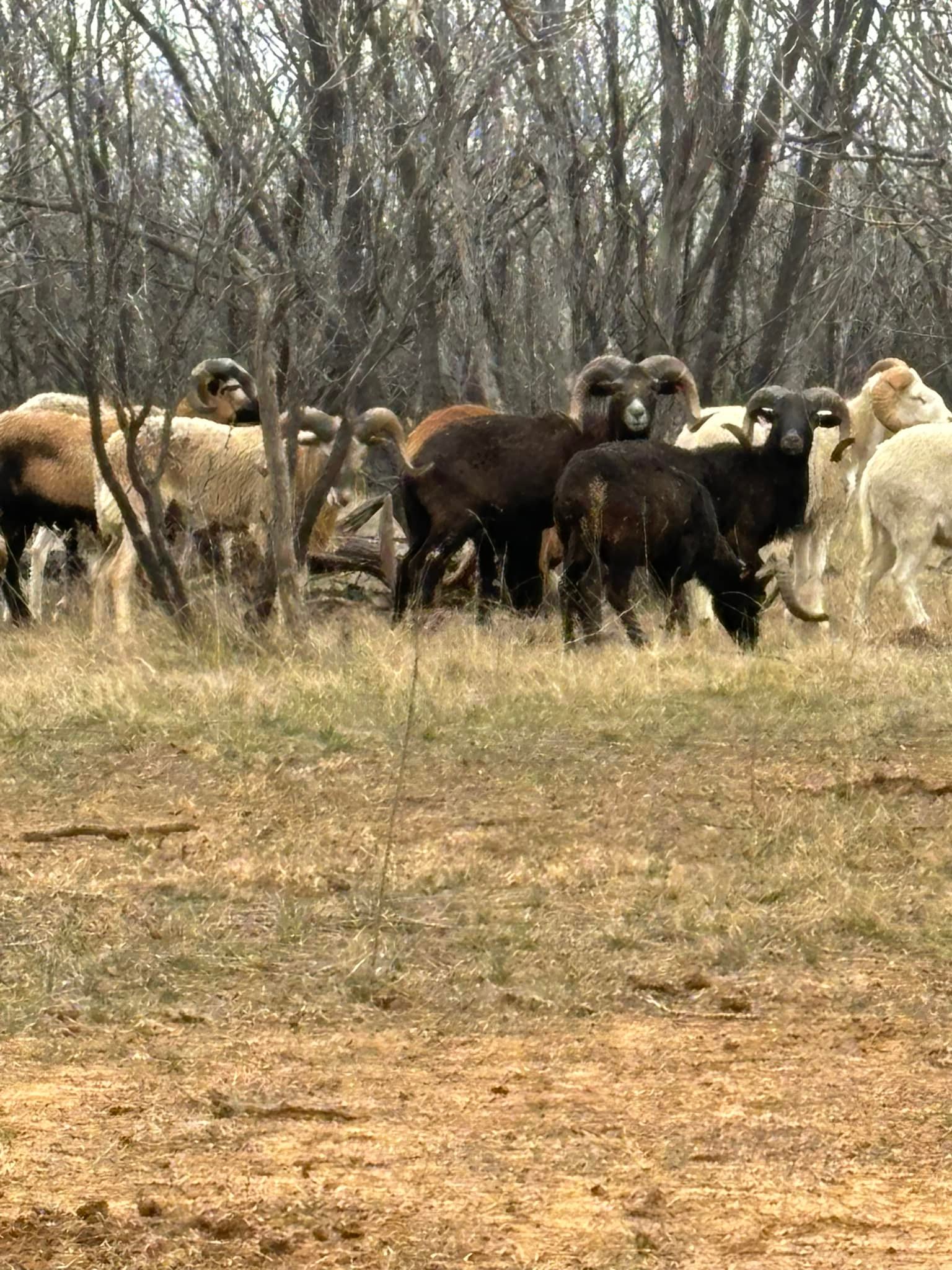 S4 Hunting Ranch