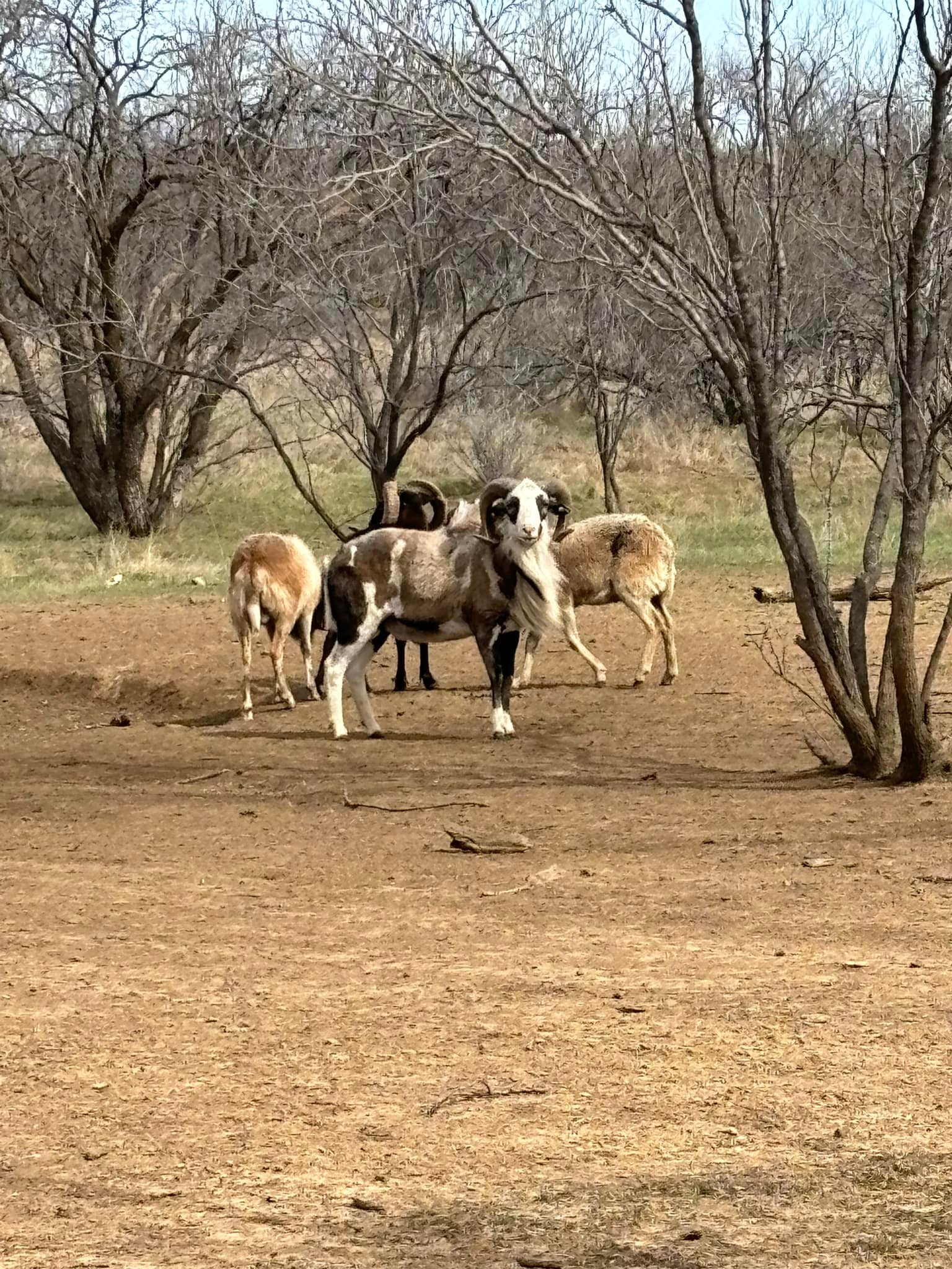 S4 Hunting Ranch
