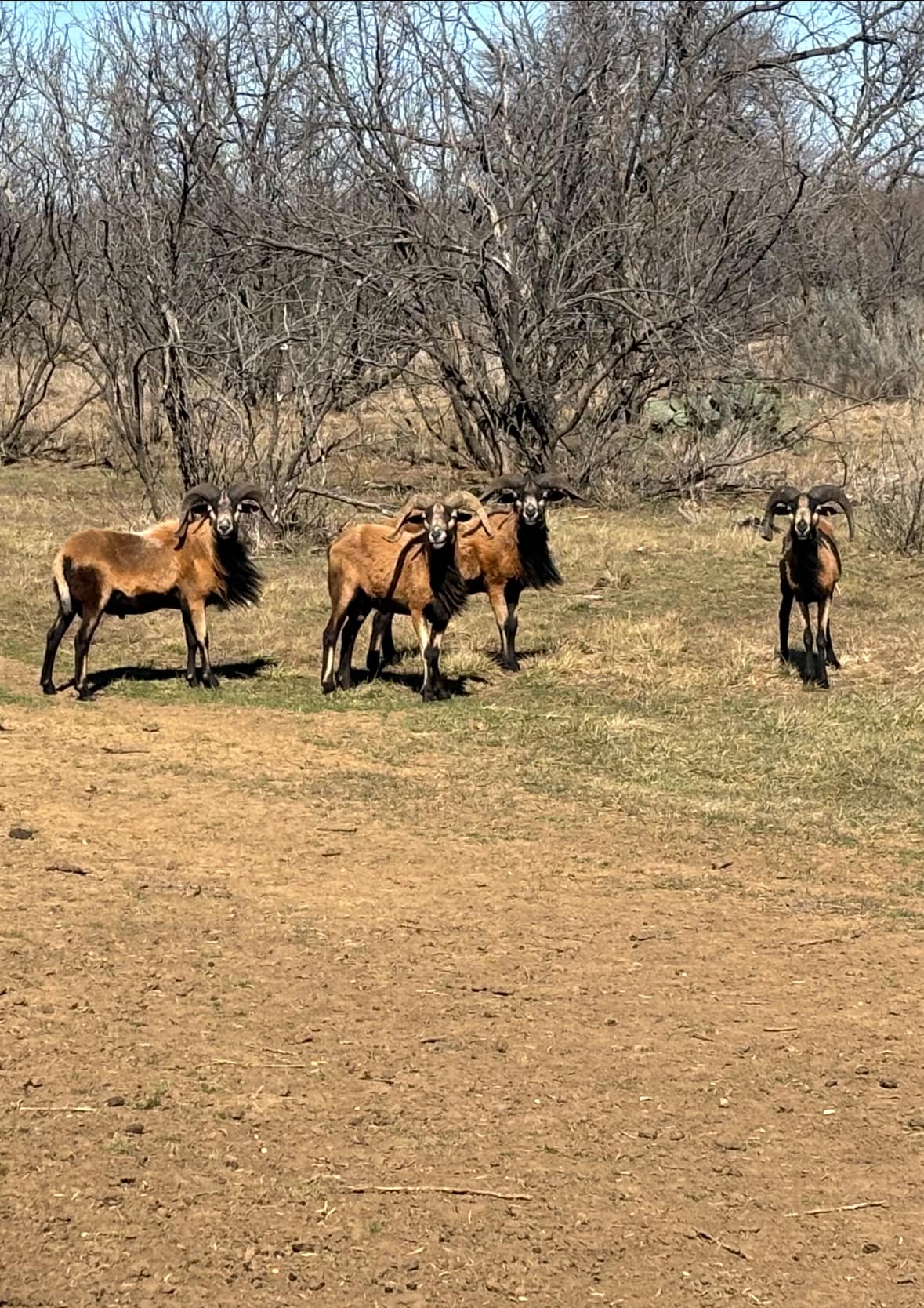 S4 Hunting Ranch