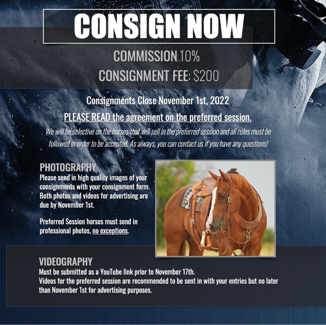 Ocala Horse Sale - 𝗢𝗰𝗮𝗹𝗮 𝗛𝗼𝗿𝘀𝗲 𝗦𝗮𝗹𝗲'𝘀 𝗖𝗼𝗻𝘀𝗶𝗴𝗻𝗺𝗲𝗻𝘁 𝗙𝗼𝗿𝗺 𝗶𝘀 𝗯𝗮𝗰𝗸 𝘂𝗽 𝗮𝗻𝗱 ...