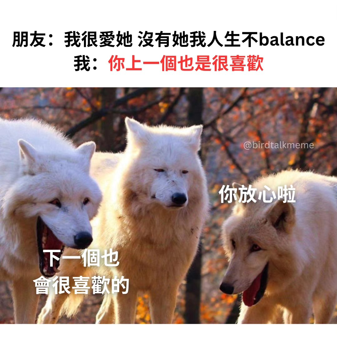 第一天認識你咩 . IG: birdtalkmeme . . #梗... - 讲鸟话迷迷 Bird Talk Meme | Facebook