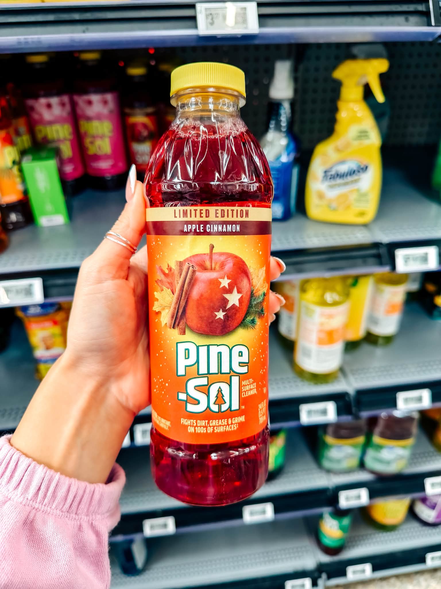 Even the cleaning aisle is ready for fall at Walmart! 🍎🍂 Clorox