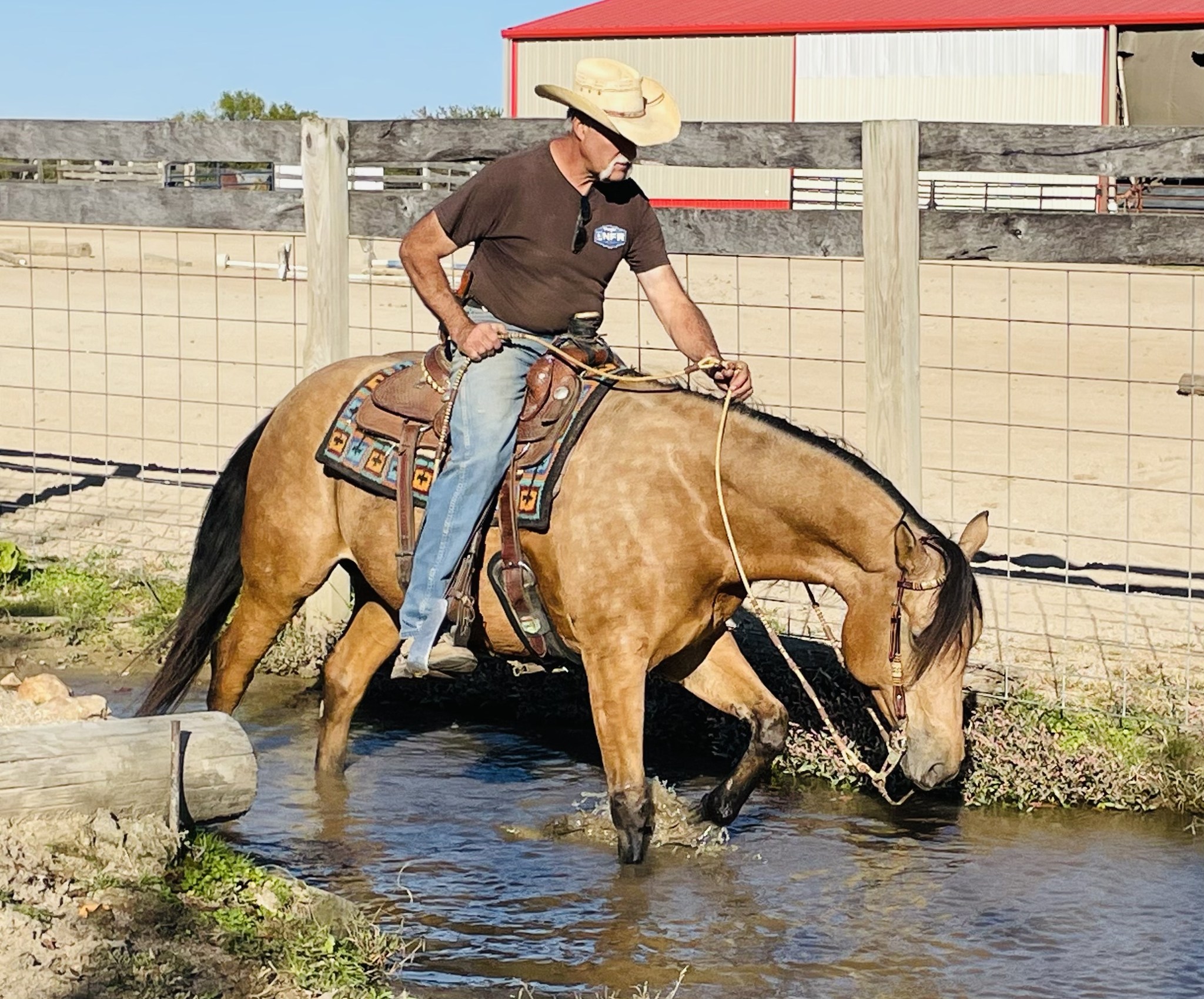 Professional - ‼ Find A RANCH HORSE to Show NOW ‼ 📣 August INTERNET ...