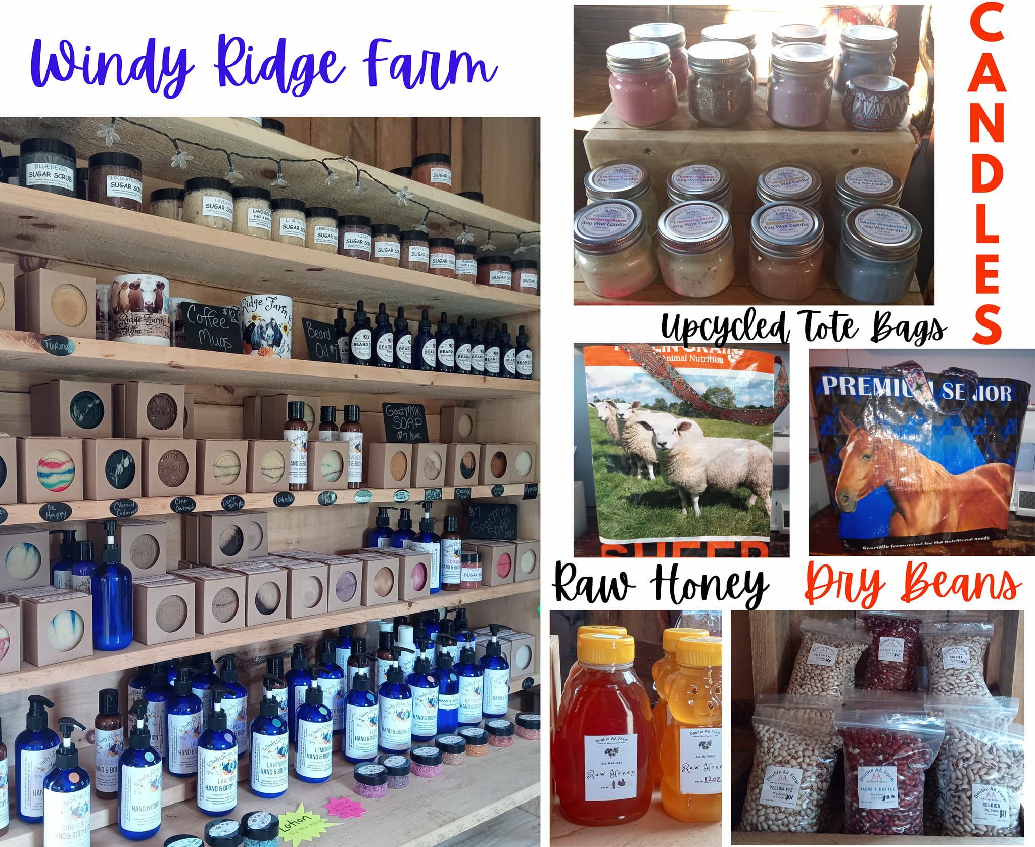 Windy Ridge Farm | Troy ME
