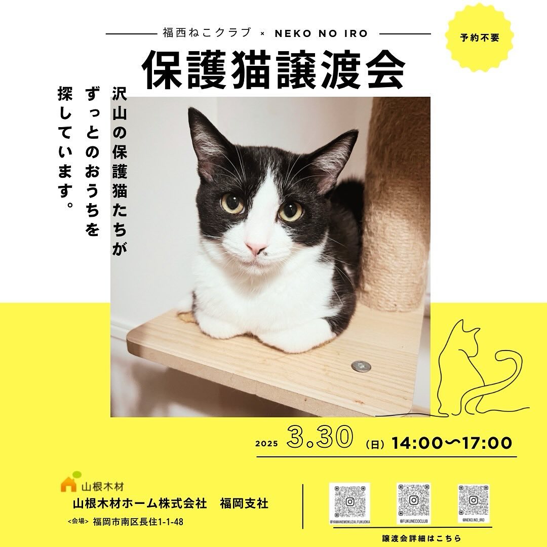 Profile for 福西ねこクラブ