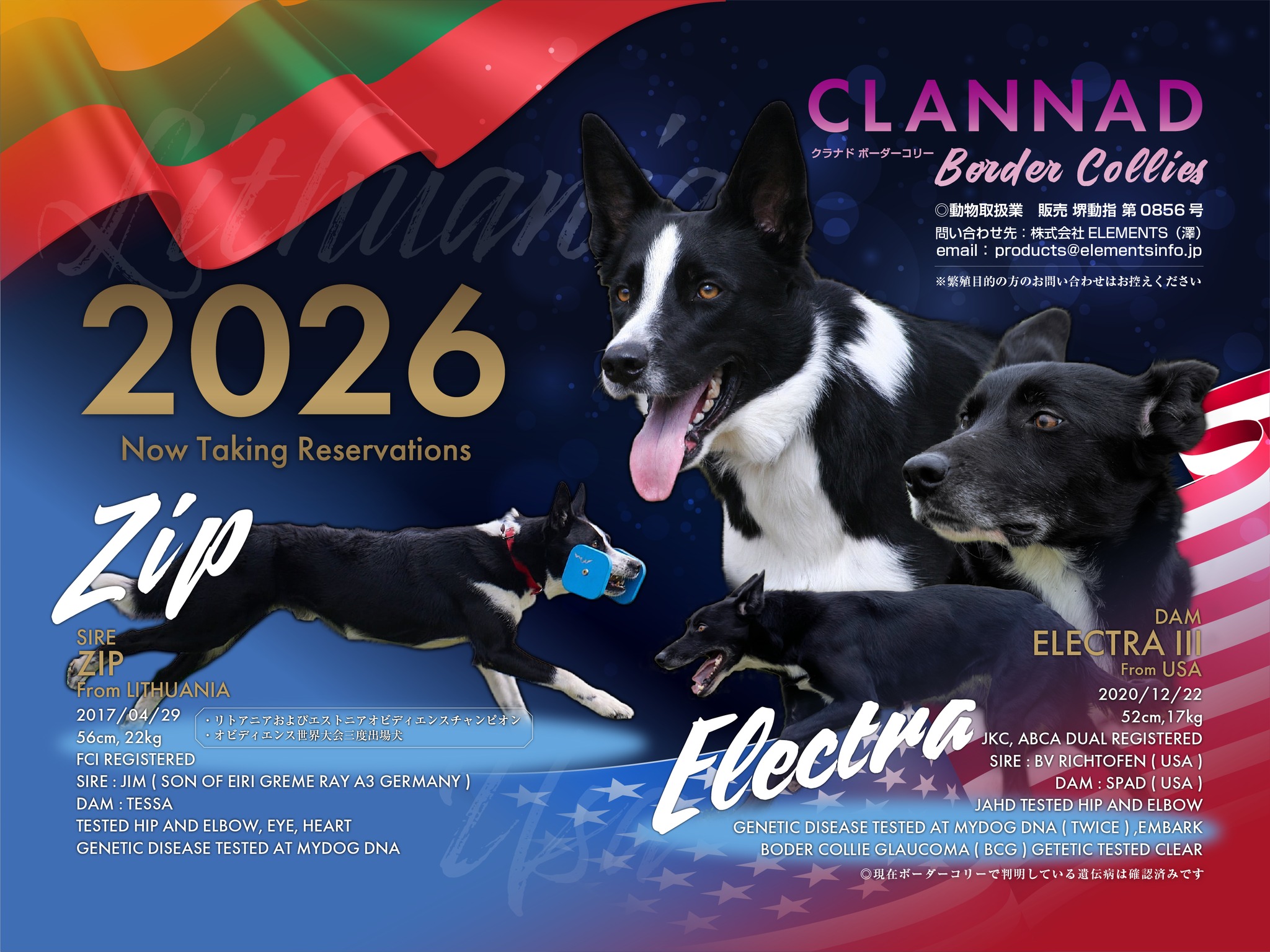 Japan Dog Agility Magazine (@jdamagazine) • Facebook
