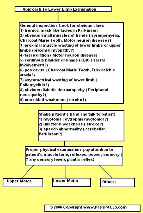 Medicine - Approach to lower limb neurological examination Source ...