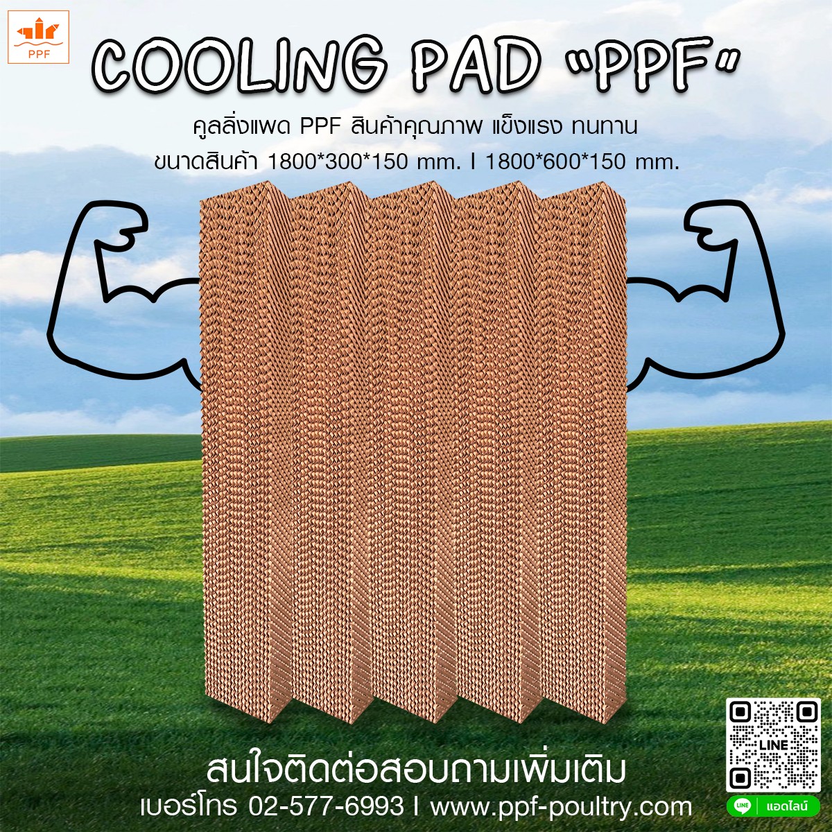 GO by PPF - P.P.F ขอแนะนำ คูลลิ่งแพด PPF สินค้าคุณภาพ... | Facebook