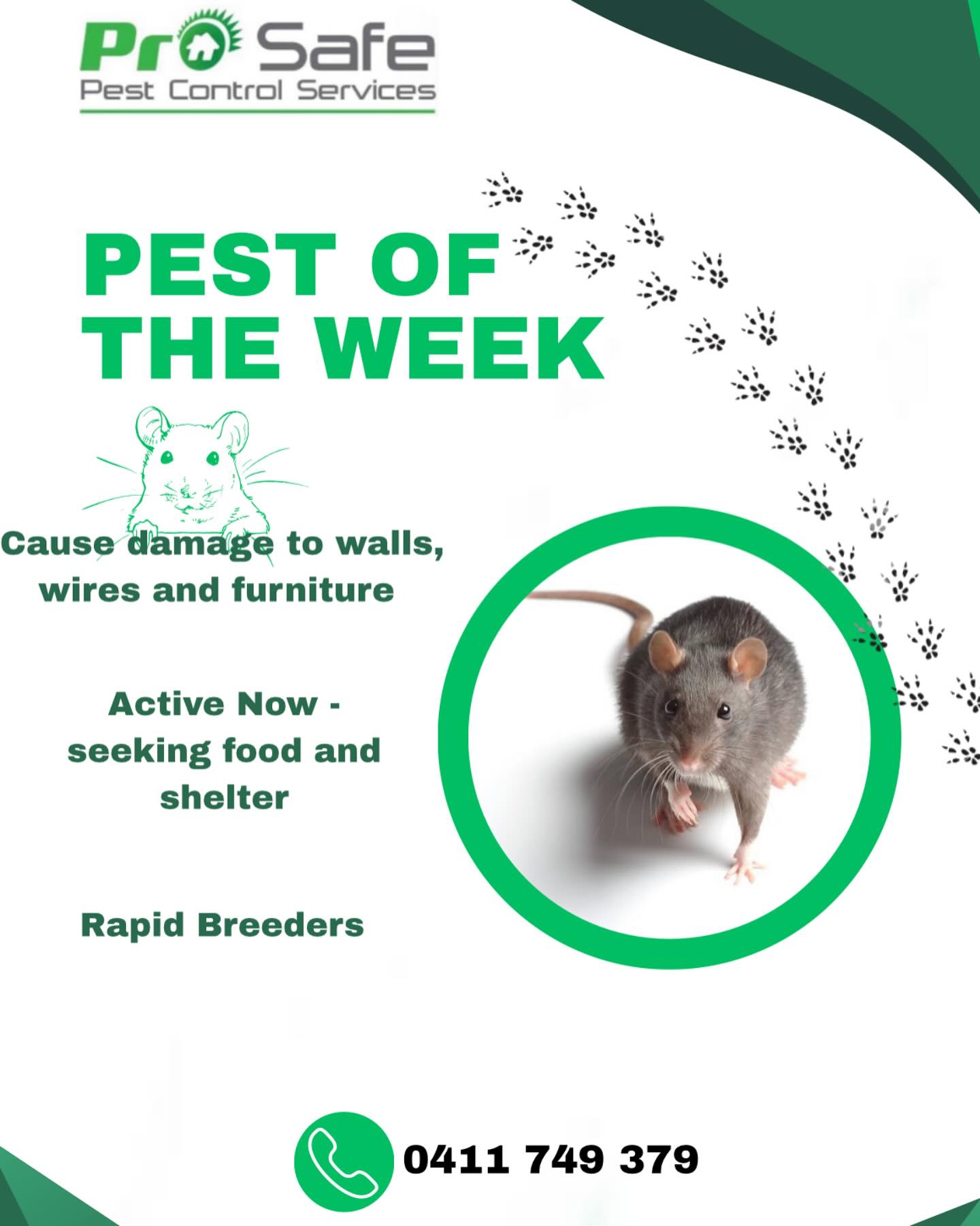 Prosafe Pest Control Services Pty Ltd | Merrylands NSW