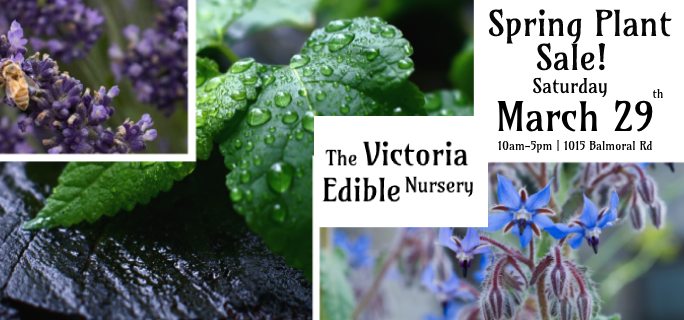 Mason Street City Farm & The Victoria Edible Nursery - There's at least ...