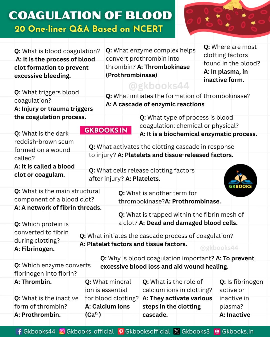 Gkbooks - Coagulation of Blood – 20 One-liner Q&A Based on NCERT! 🩸 Why ...