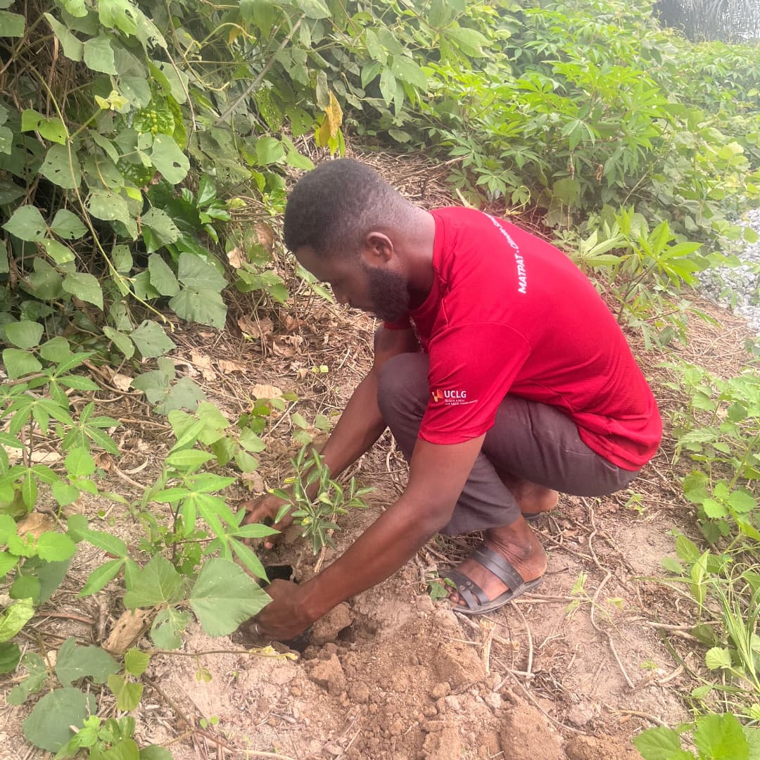 MatPat Poultry Farm | Takoradi