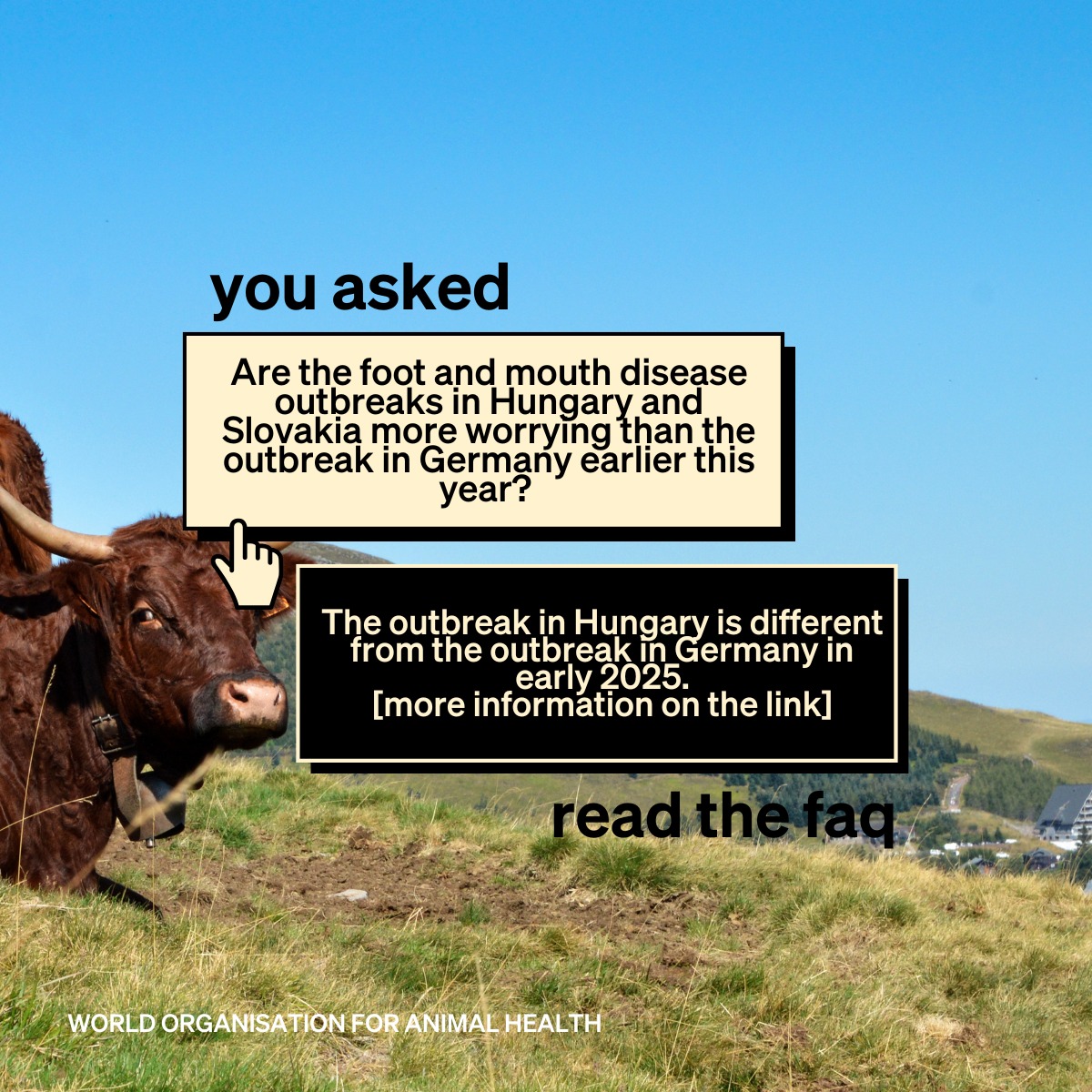 World - Foot and mouth disease (FMD) is a severe, highly contagious ...