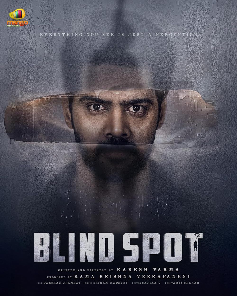 Blind Spot - 2025 With Sinhala Sub... - Icom Films & Store | Facebook