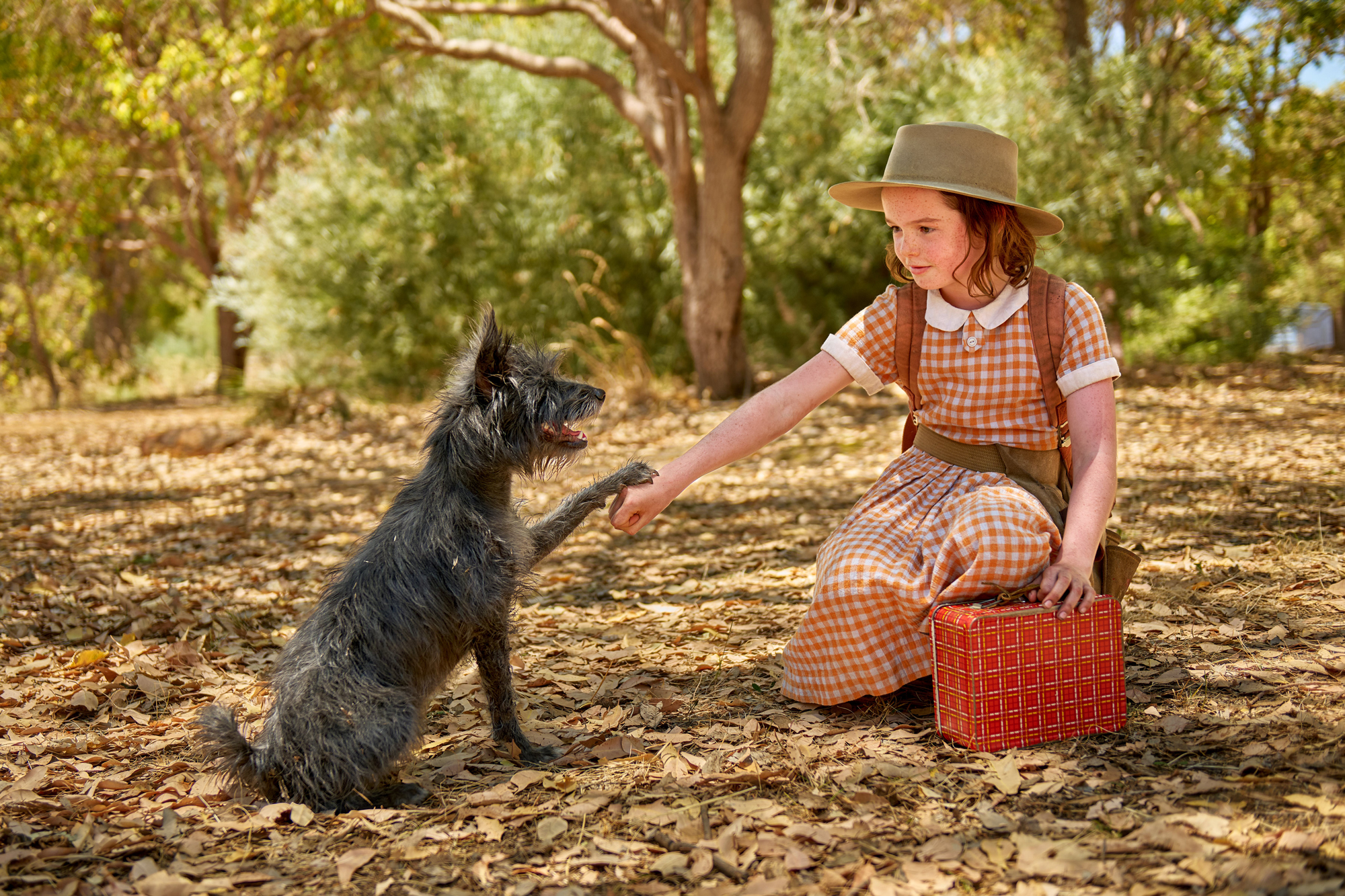 Screenwest - 👀🐕 The official trailer and first look image for RUNT has ...