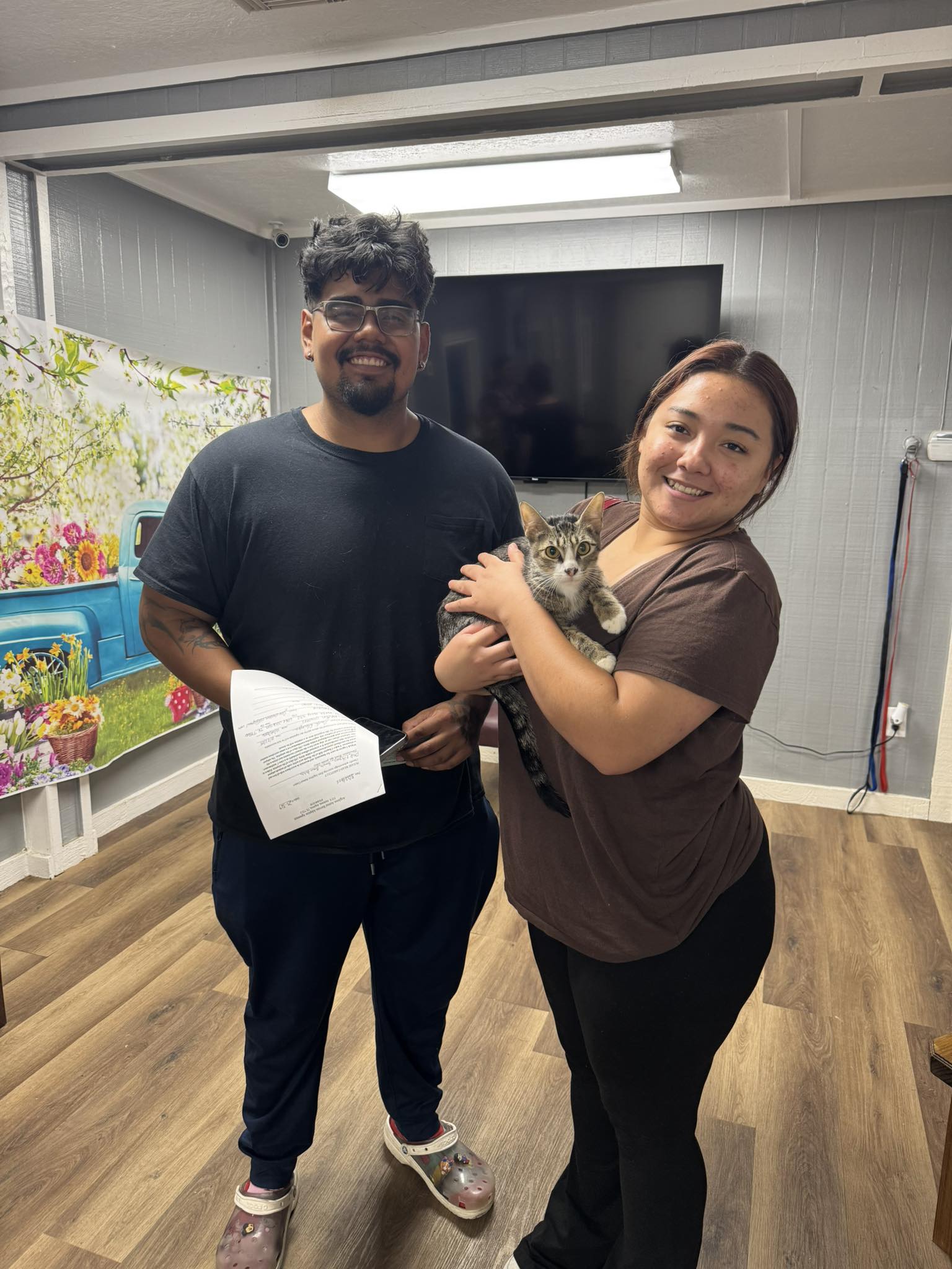 Angleton - Adoption! 🥰 LaLa has found her forever home! LaLa came in ...
