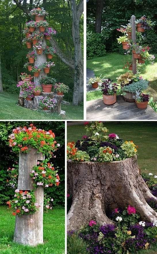 Best - More ideas 😘👏 https://www.ajanstvhaber.com/photo-gallery/20 ...